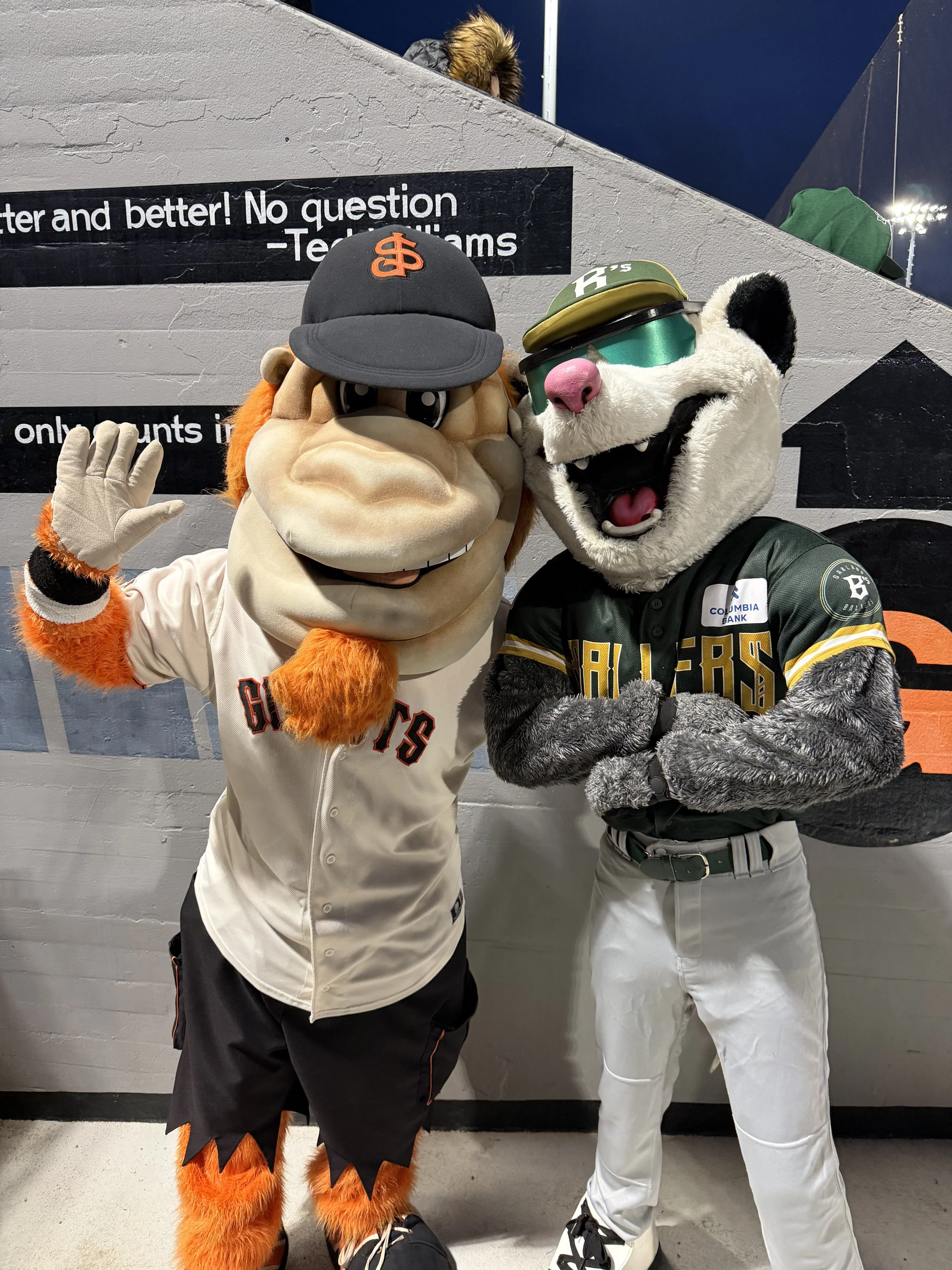 Battle of the Bay 2.1 