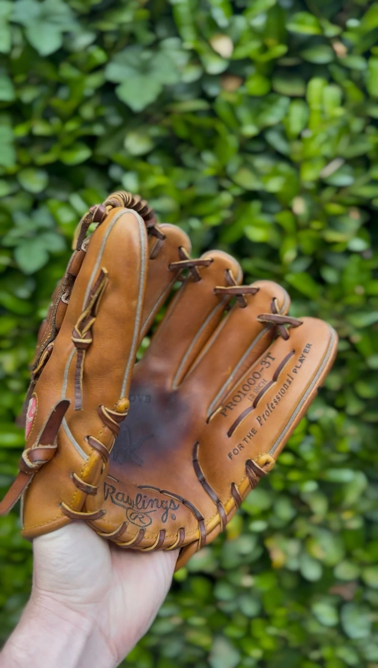 Glove of the Series: Glacier Range Riders 