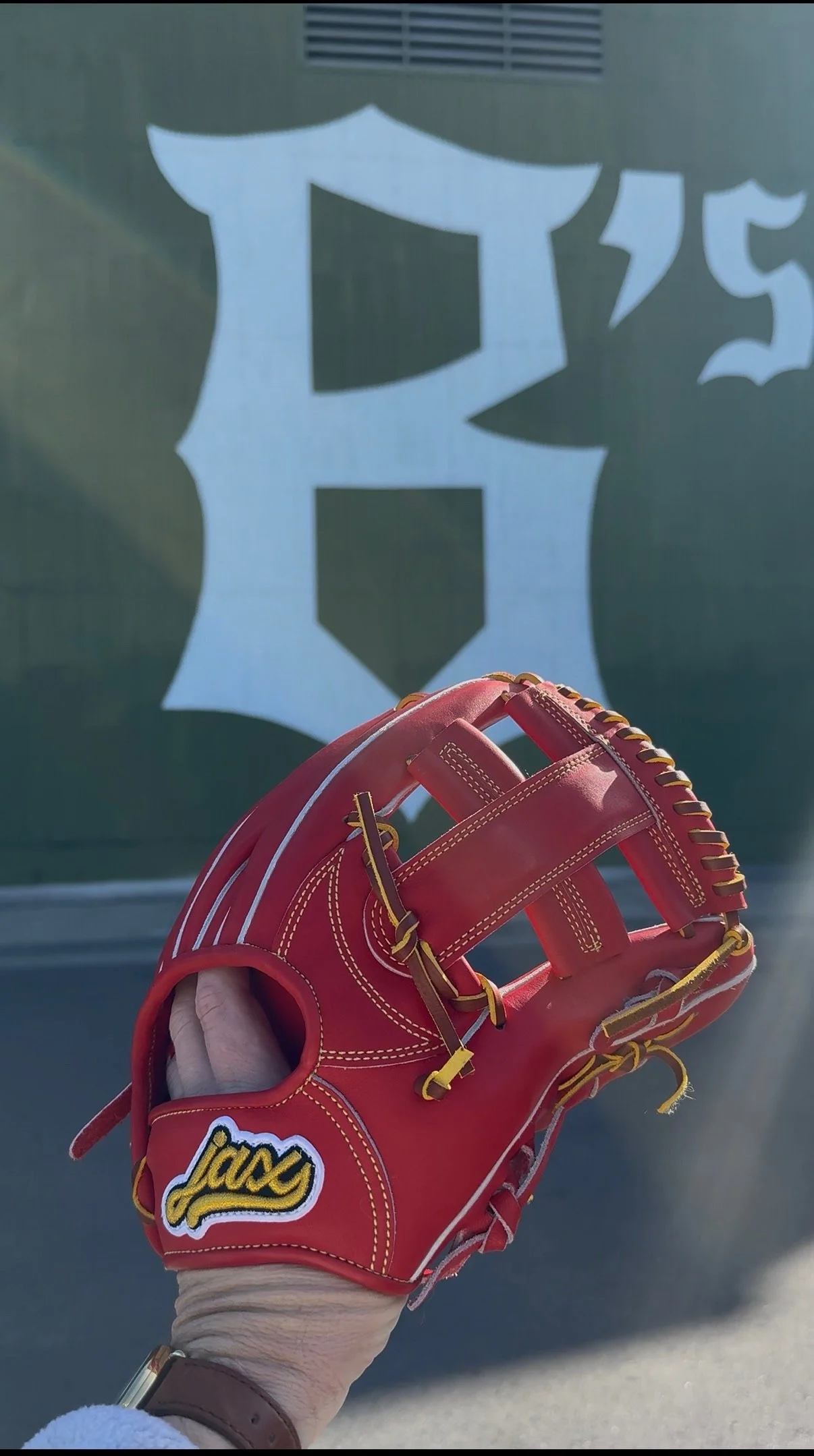 Glove of the Series: Great Falls Voyagers