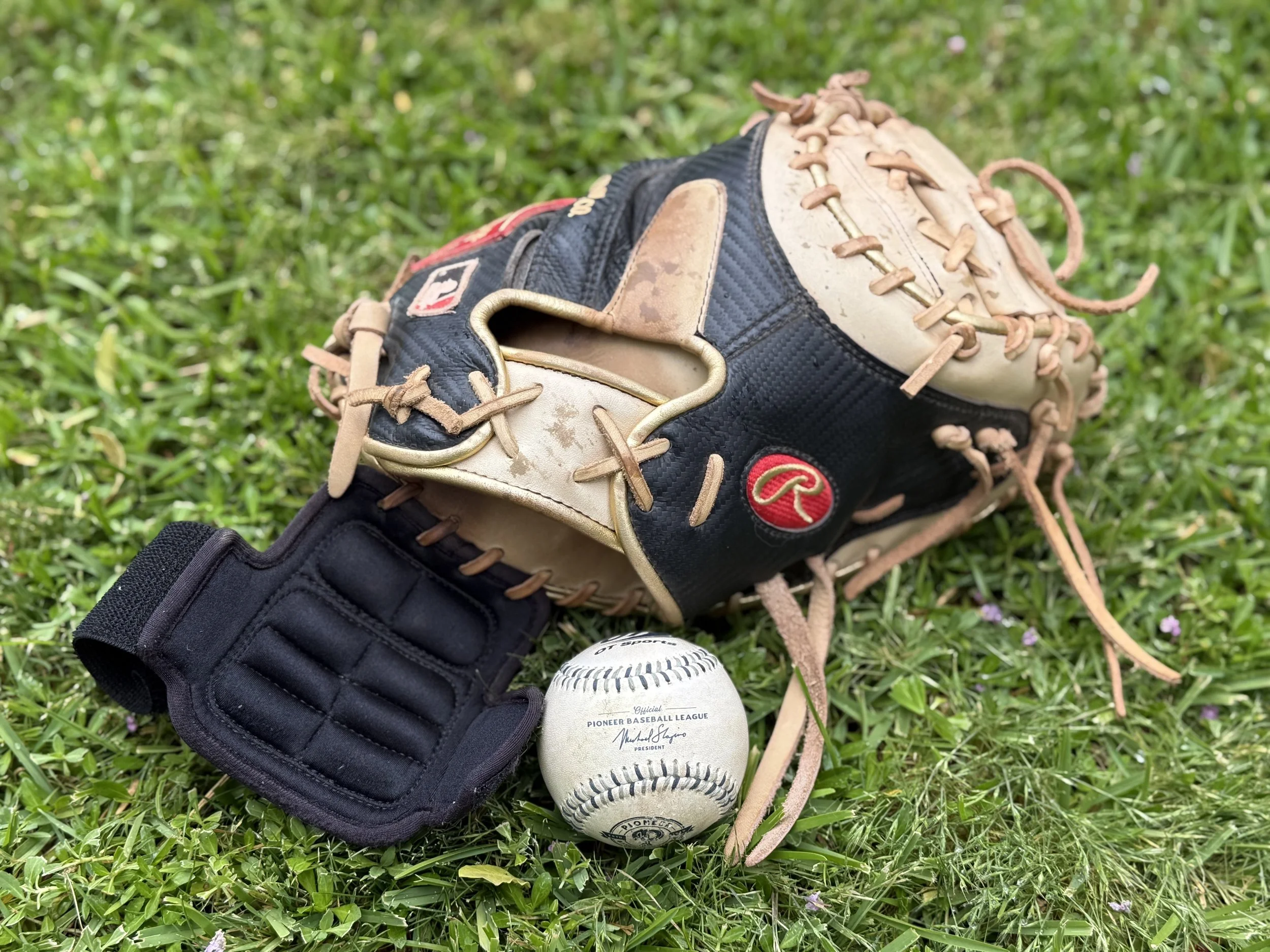 Glove of the Series: Yuba-Sutter Freebirds