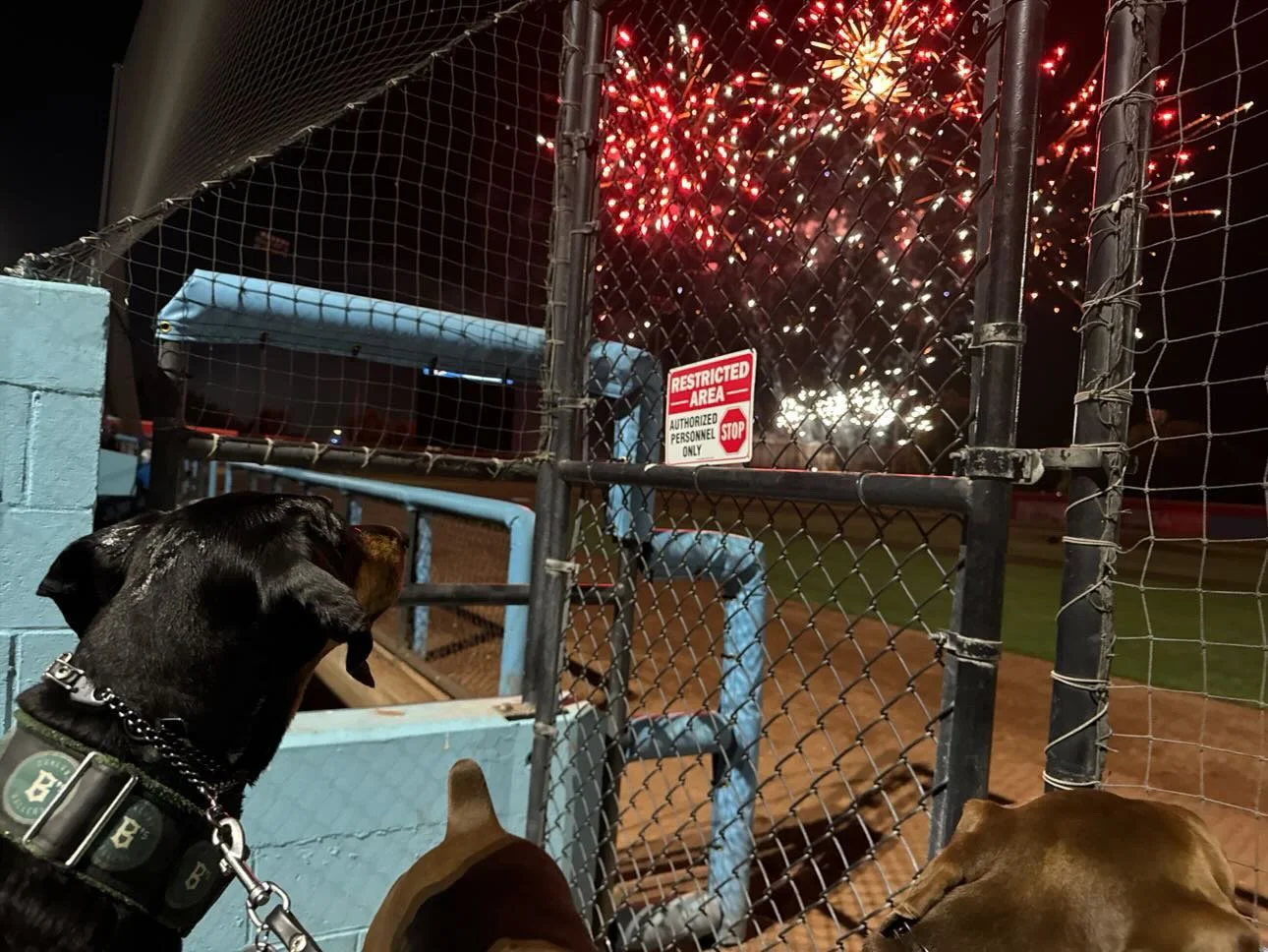 Game 41 Recap: Fireworks!