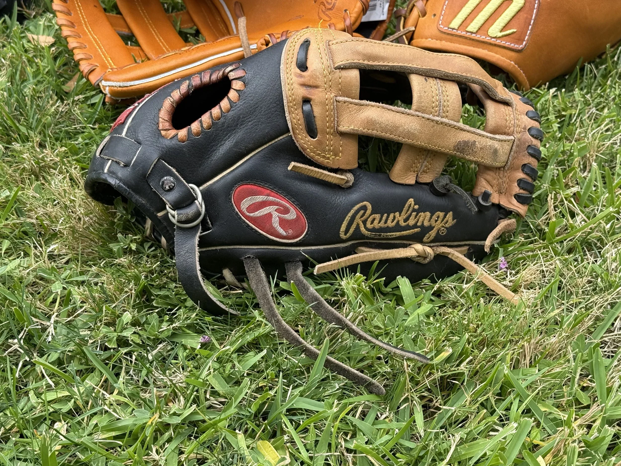 Glove of the Series: Rawlings Gold Glove Tony Gwynn Model