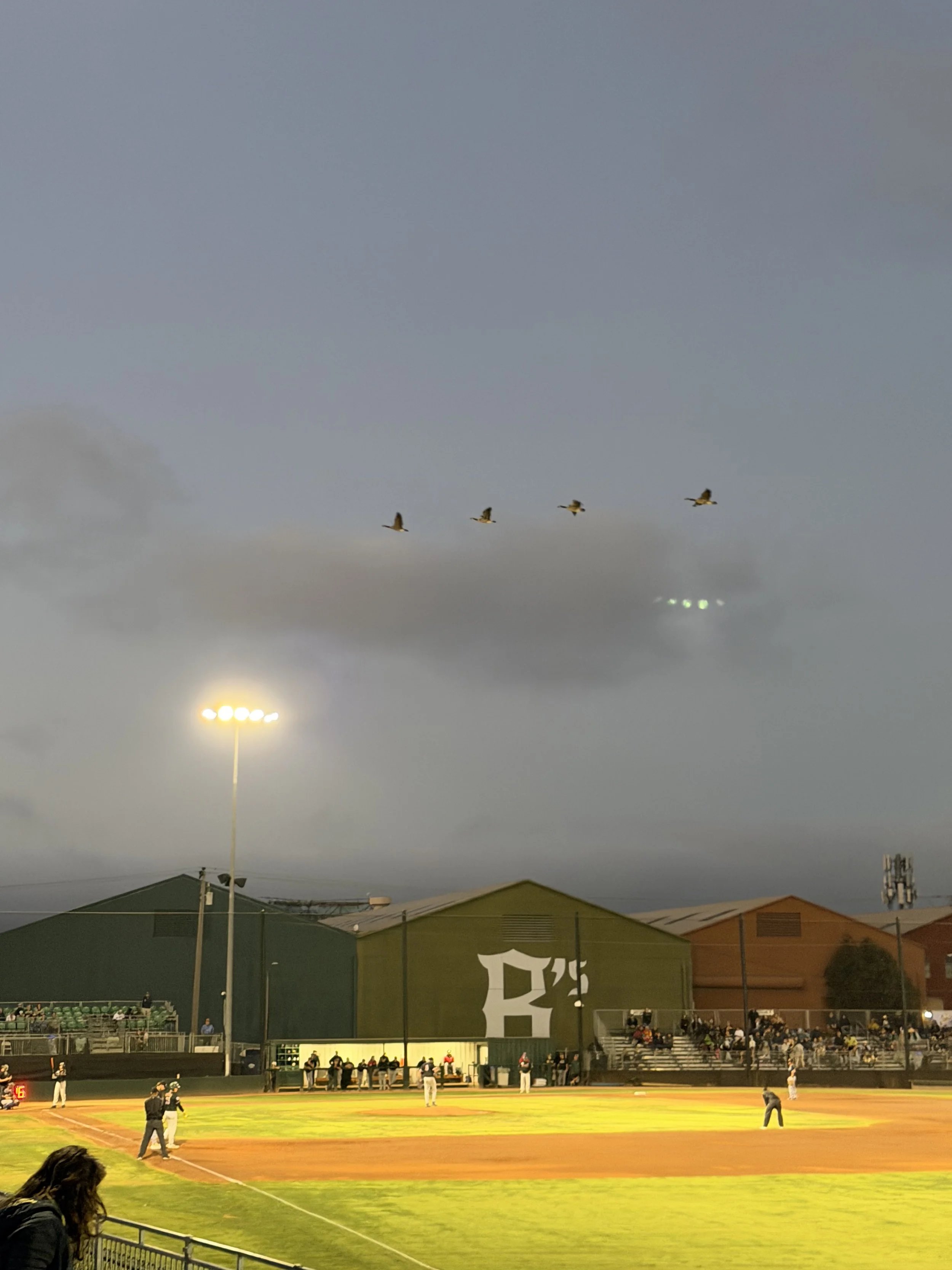 Game 73 Recap, Aug 11: Fly Away Home