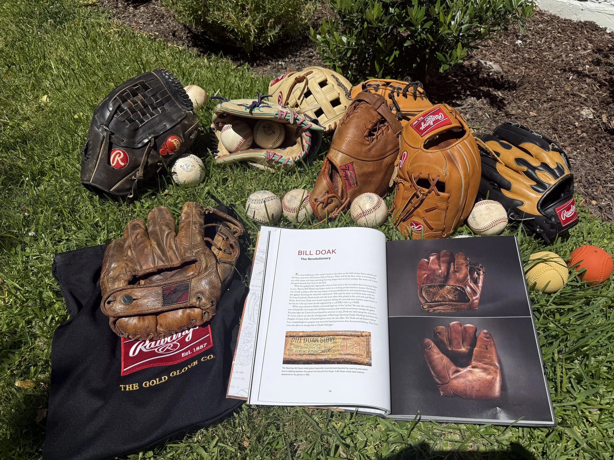 Glove of the Series: Modesto Roadsters July 7