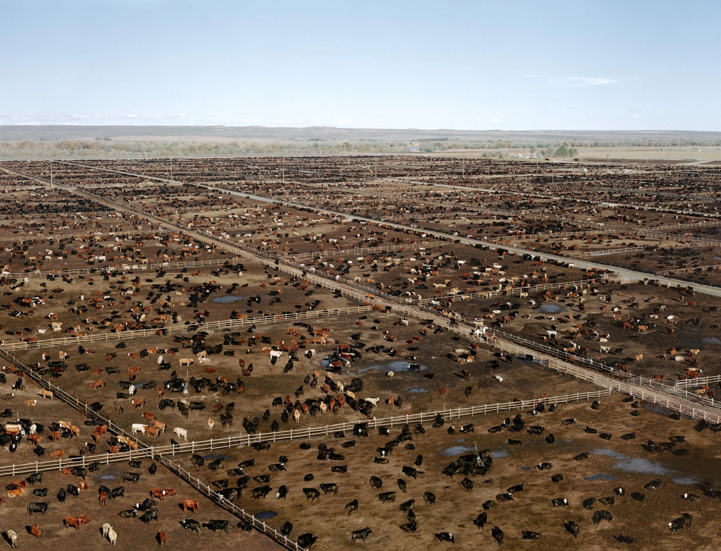 Greeley (2002) - Andreas Gursky