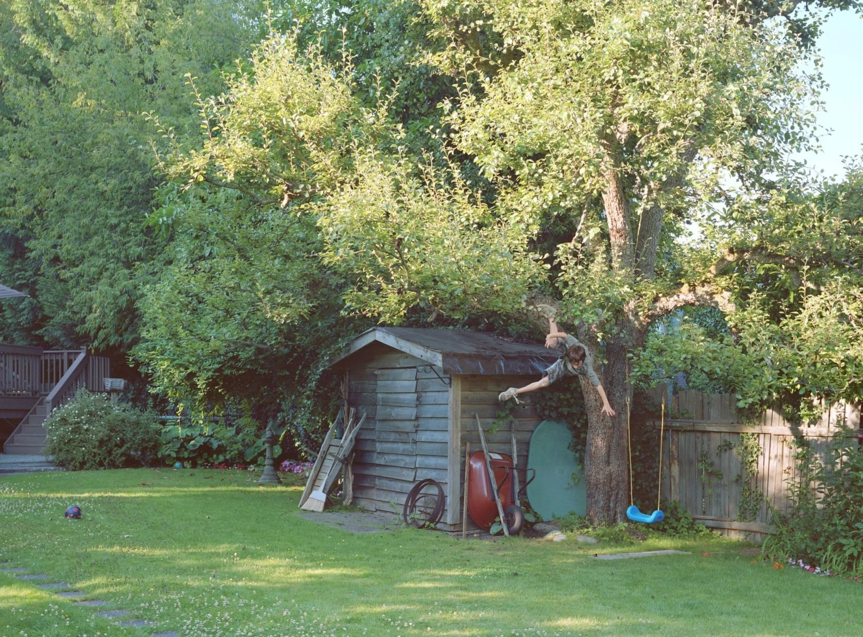 Boy falls from tree
(2010) - Jeff Wall
