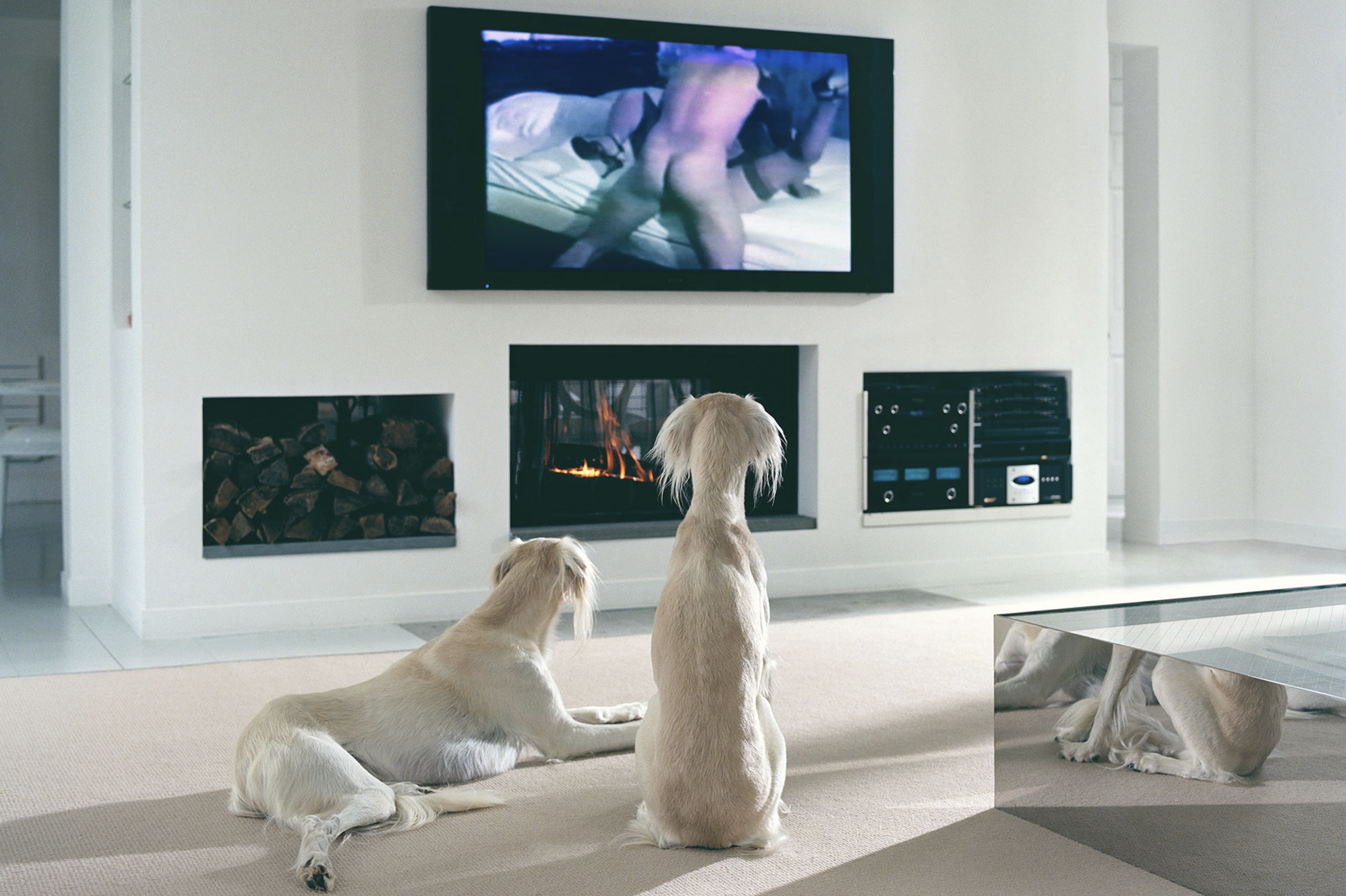 The Hamptons (2008) - Philip-Lorca diCorcia 