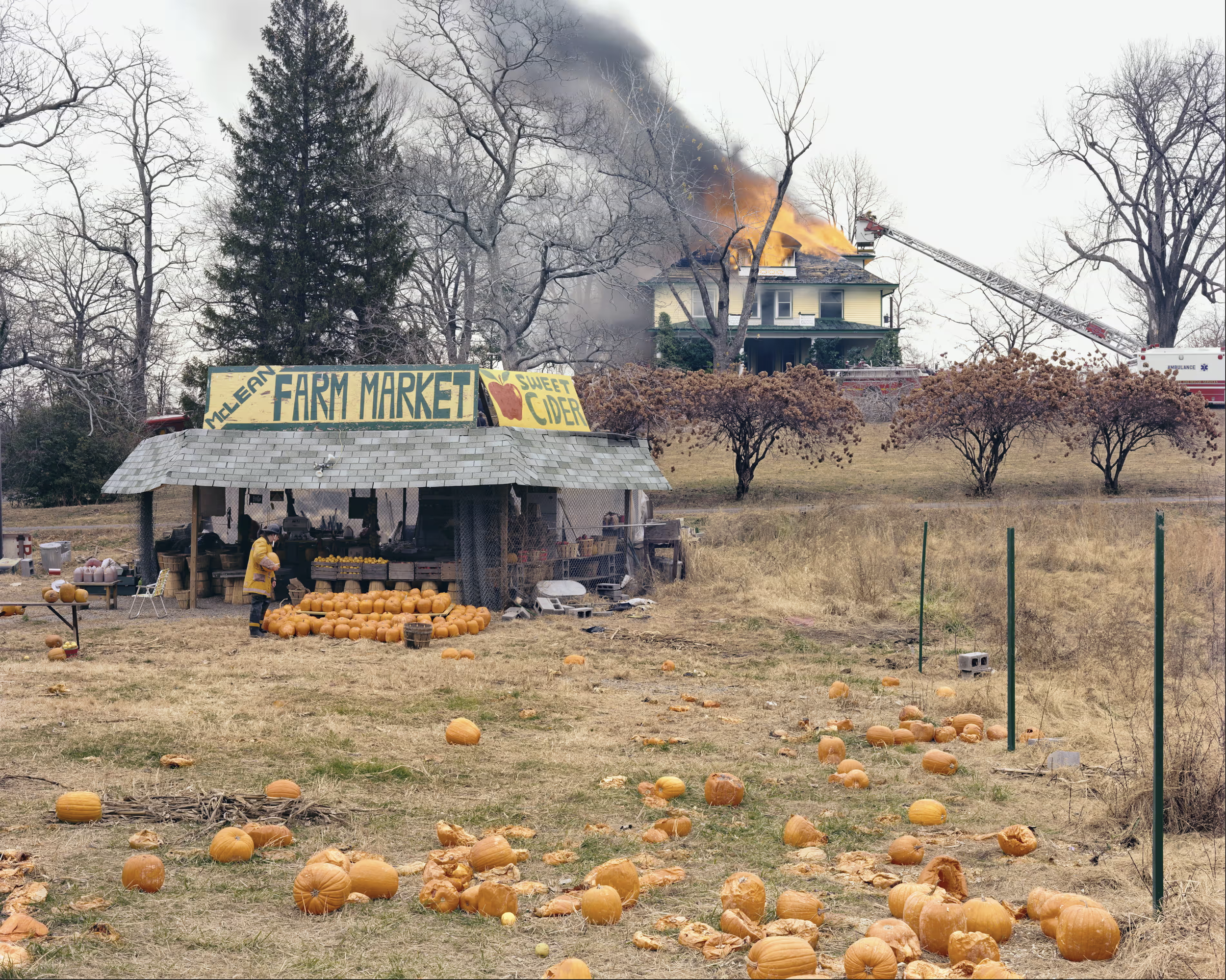 McLean, Virginia, (1978) - Joel Sternfeld