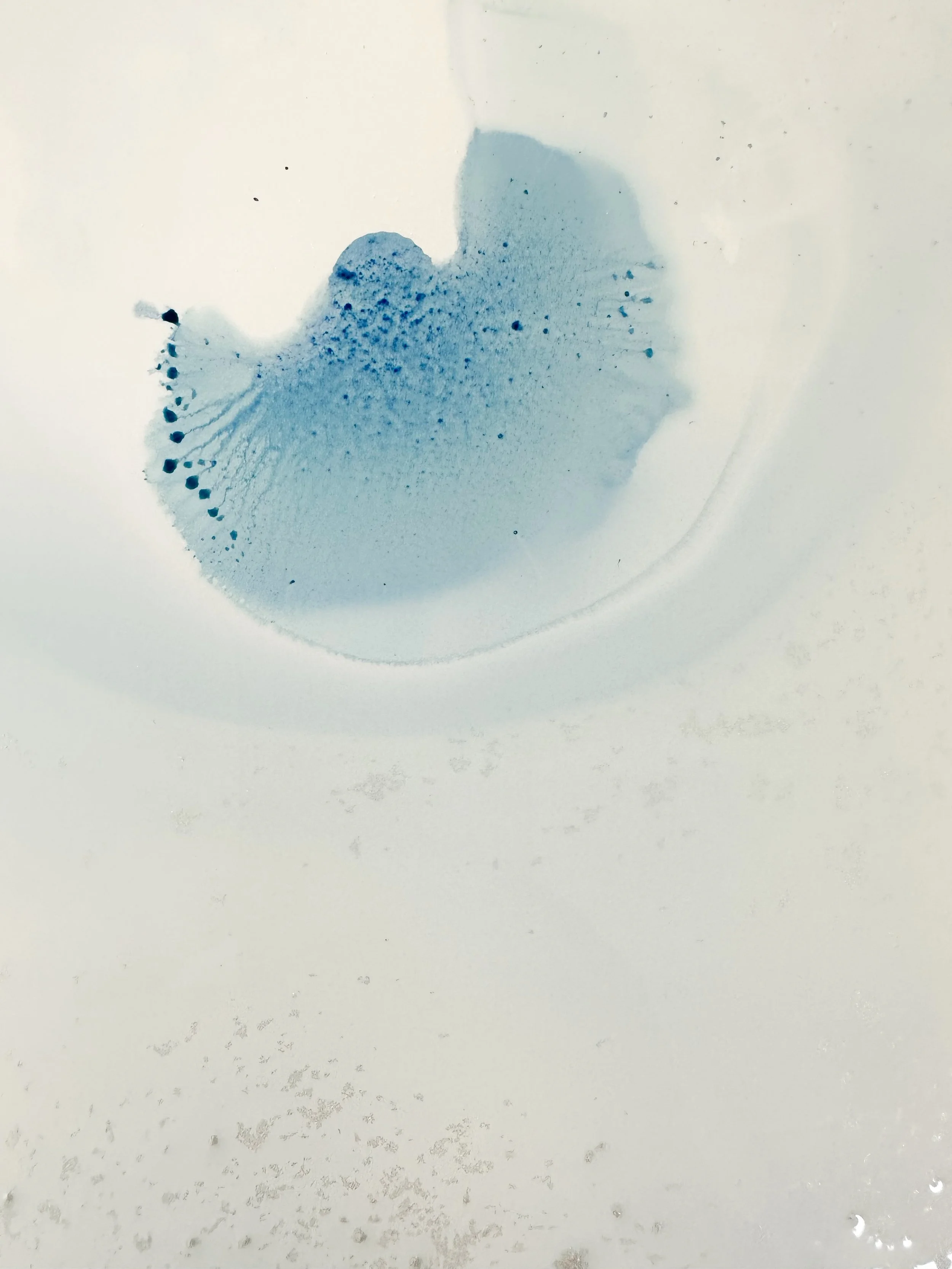 PicTapGo-2024-02-18-124543.jpeg