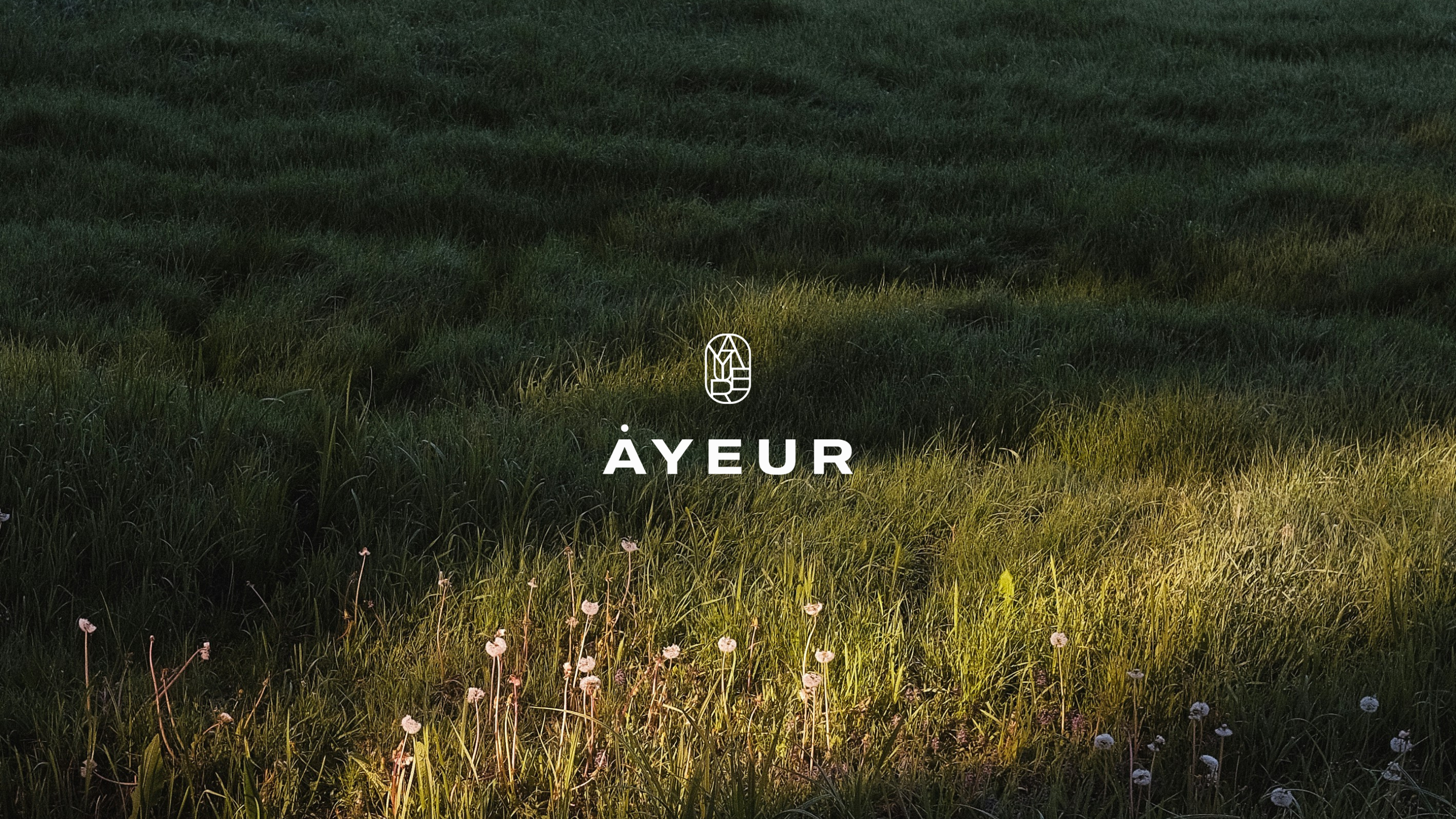 A grassy field with sunlight shining on the grass, and the word 'ÄYEUR' with a logo in the center.