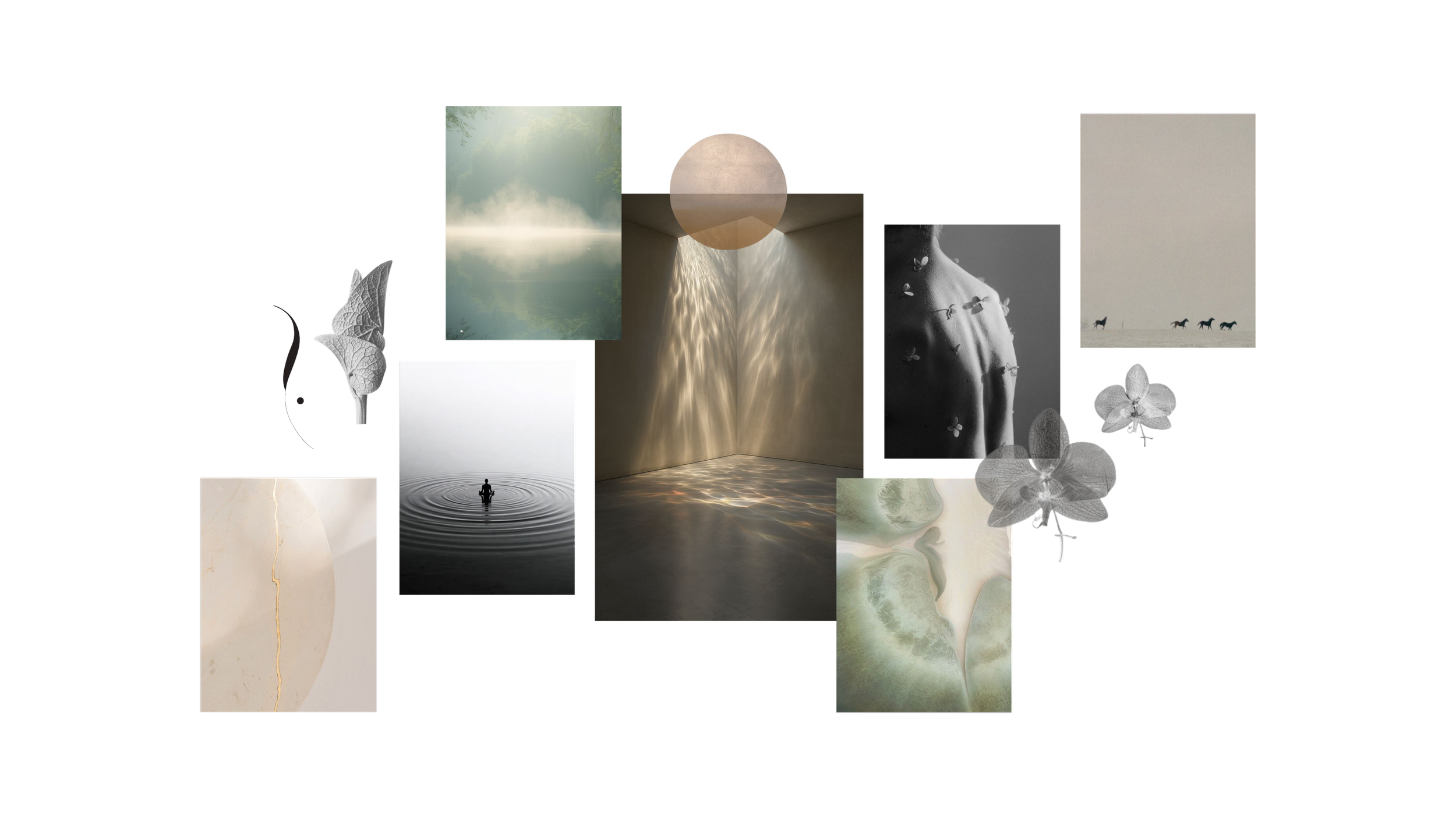 A collage of various nature and abstract images, including a foggy lake, a person standing on water, a bright circle resembling the moon, a flowing waterfall, and close-ups of flowers and textures, all set against a black background.