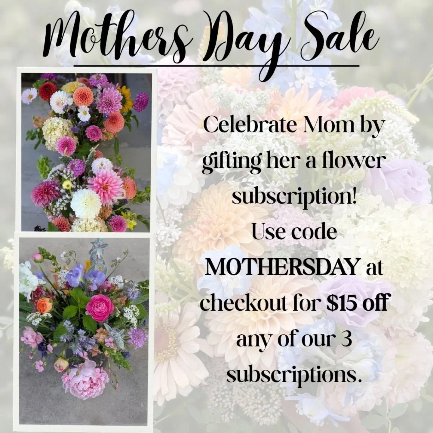 Our bouquet subscriptions are on sale for Mother's Day! Send this to your hubby, siblings friends and let them know that THIS is what mum (or you yourself) wants. 😜

Each subscription comes with a gift card that can be picked up or mailed to you or 