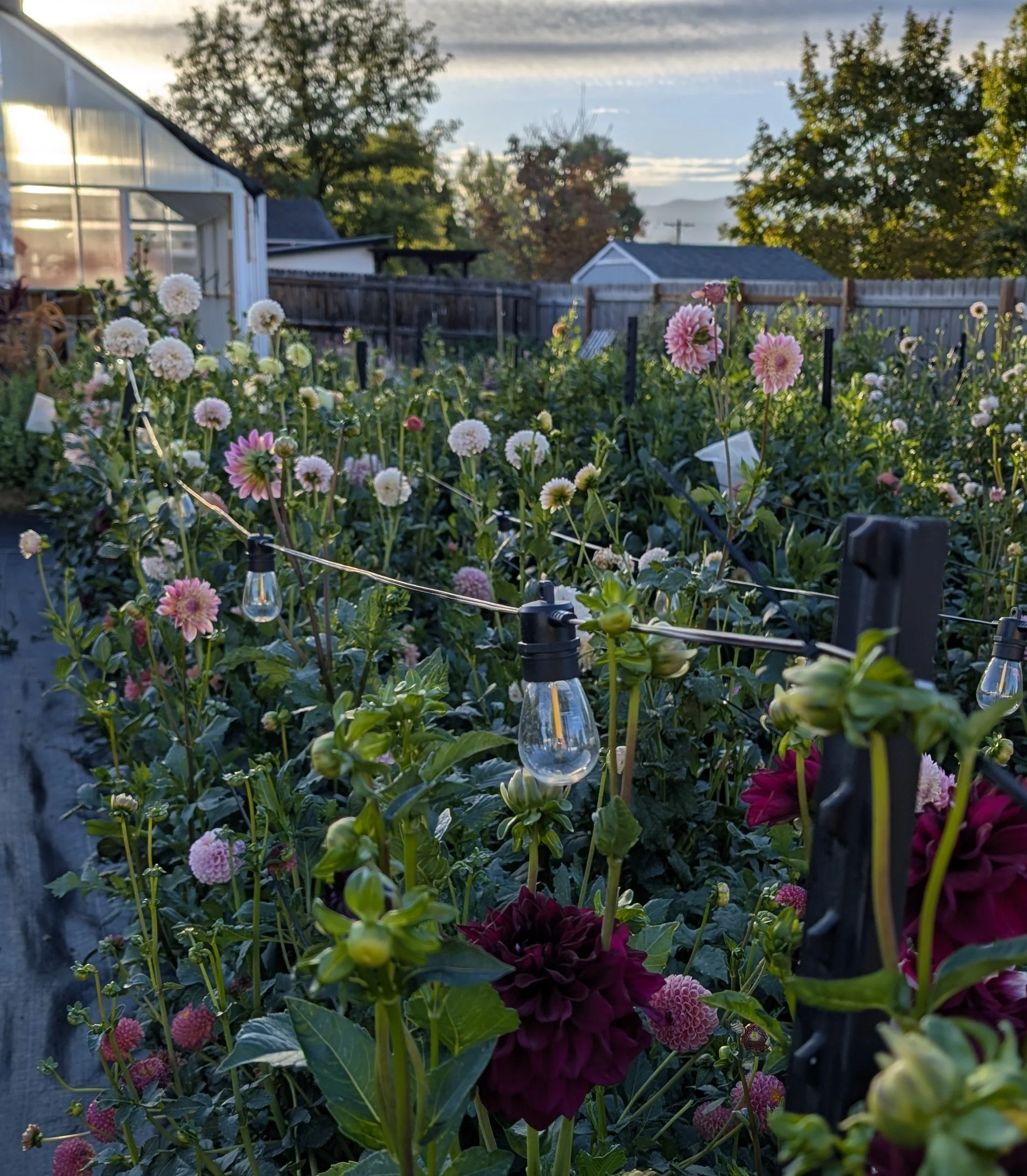 Bouquet Bar &amp; Sweets -Utah Flower Day