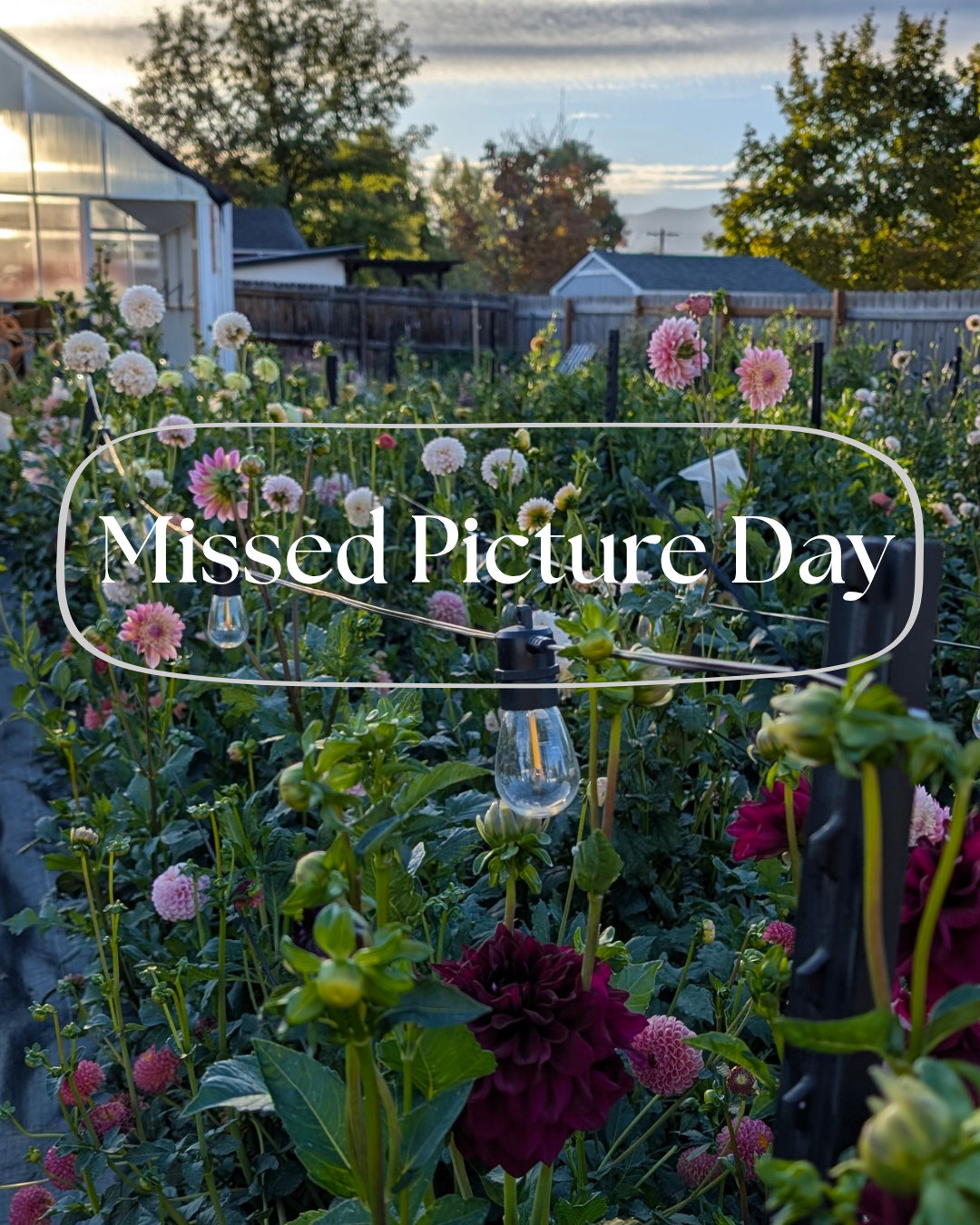 Missed Picture Day_20260117_202715_0000.png