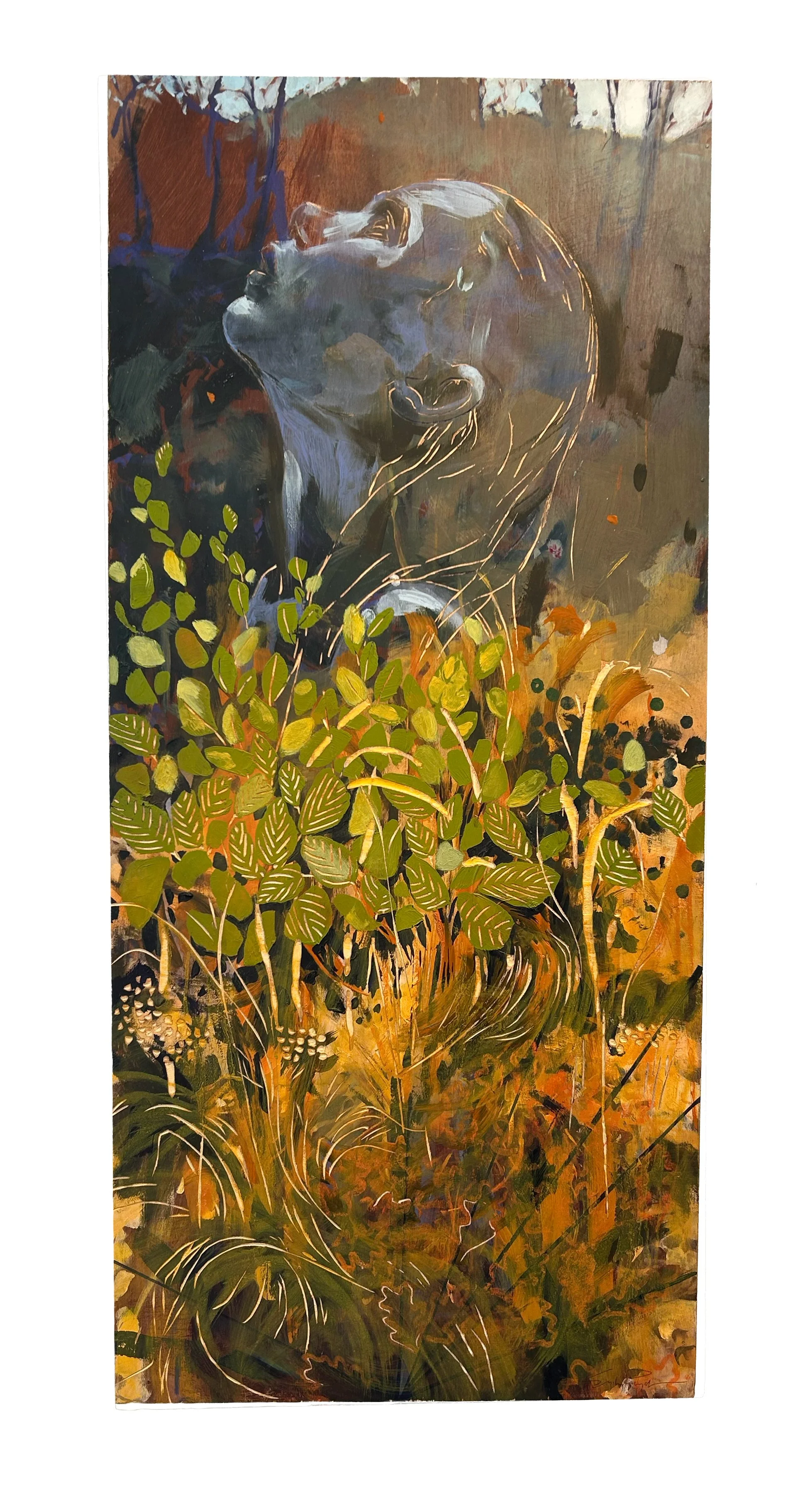 From Seed