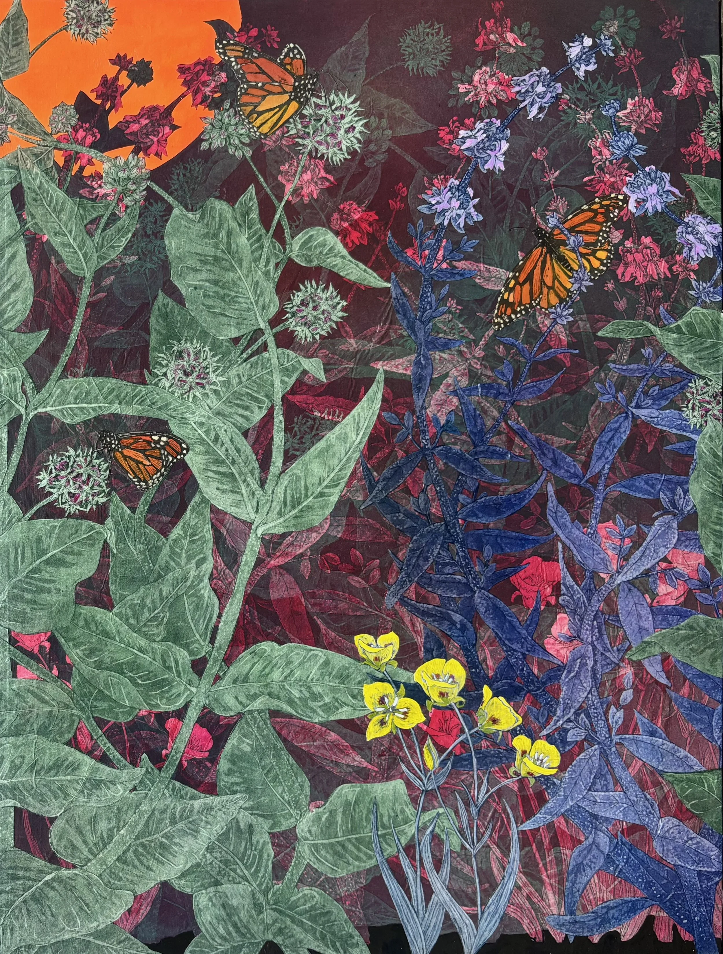 Milkweed and Mariposa Lilies
