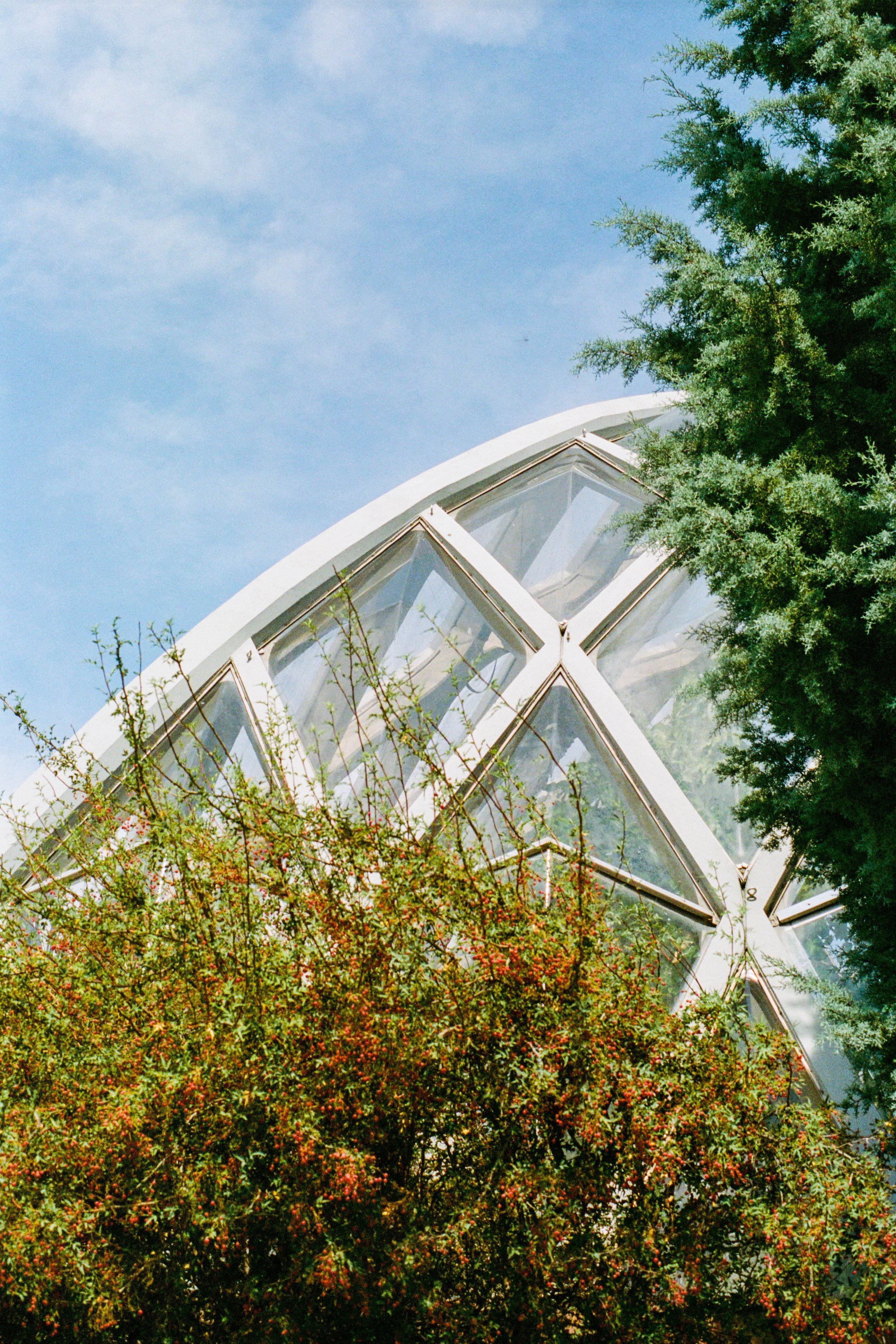 Geodesic