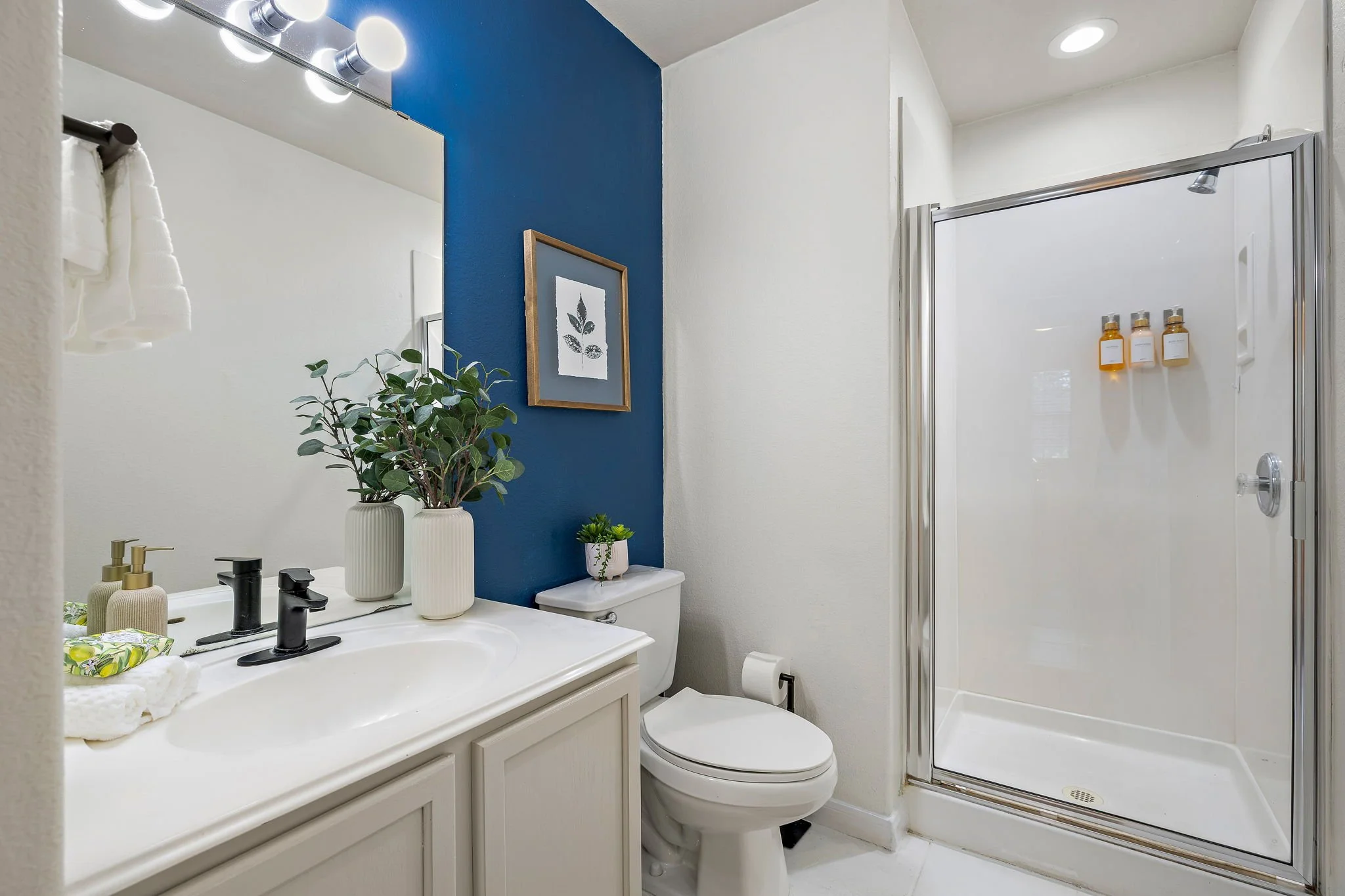11-web-or-mls-3339 Alexander Valley Cove KCP 051326 - 39.jpg