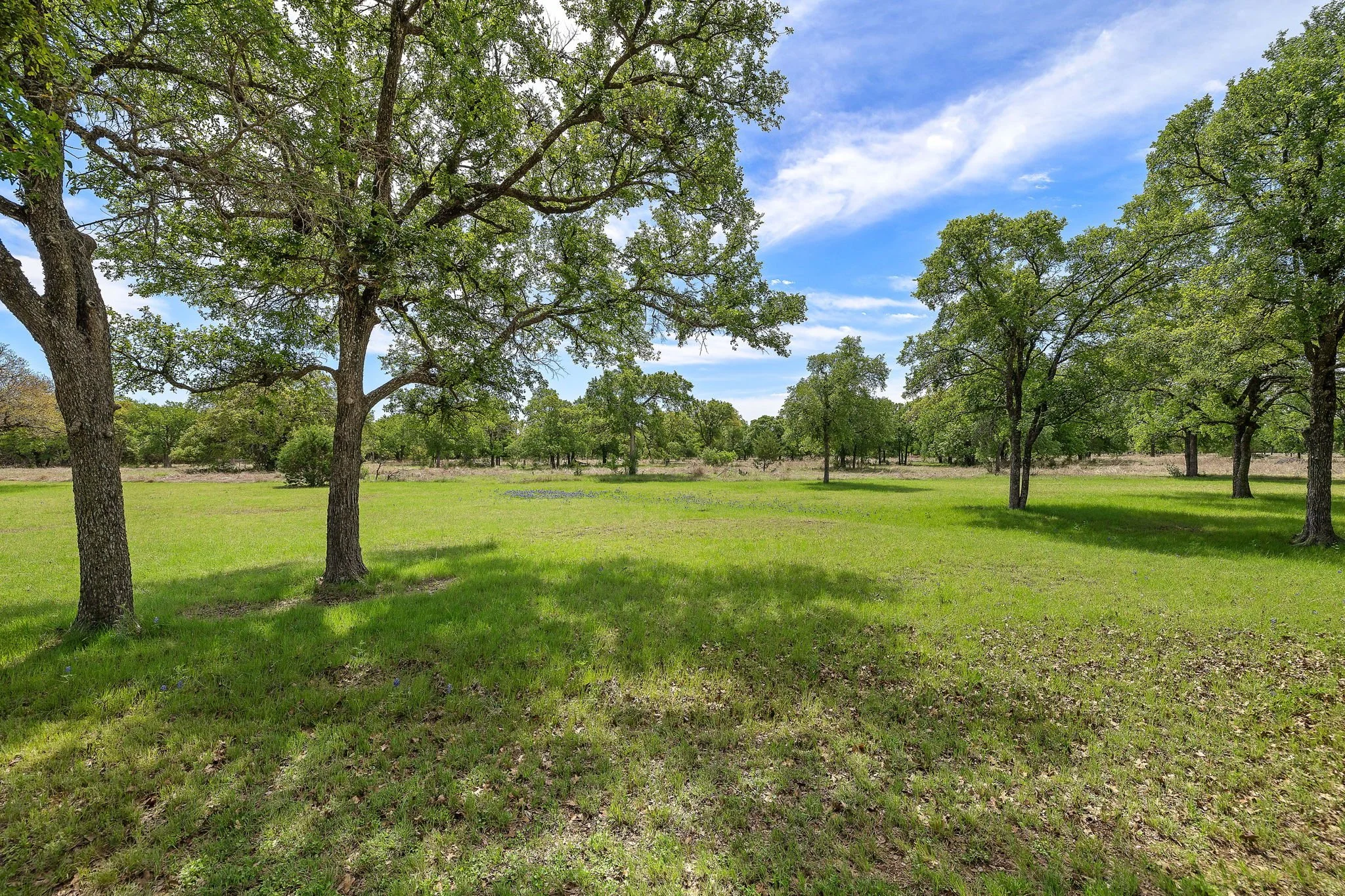 40-web-or-mls-100 Palomino Cove KCP 040726 - 219.jpg