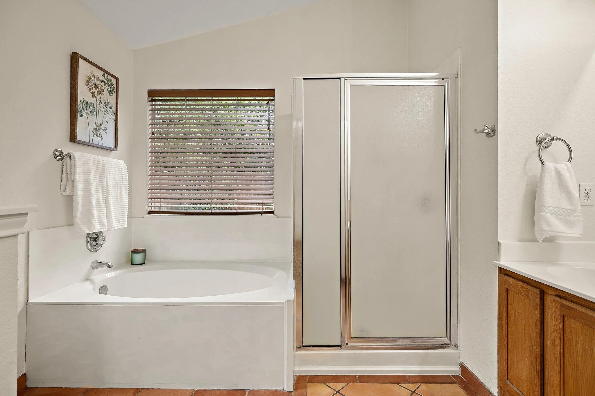 17-web-or-mls-17600 Limpia Creek Dr KCP 052726 - 64.jpg