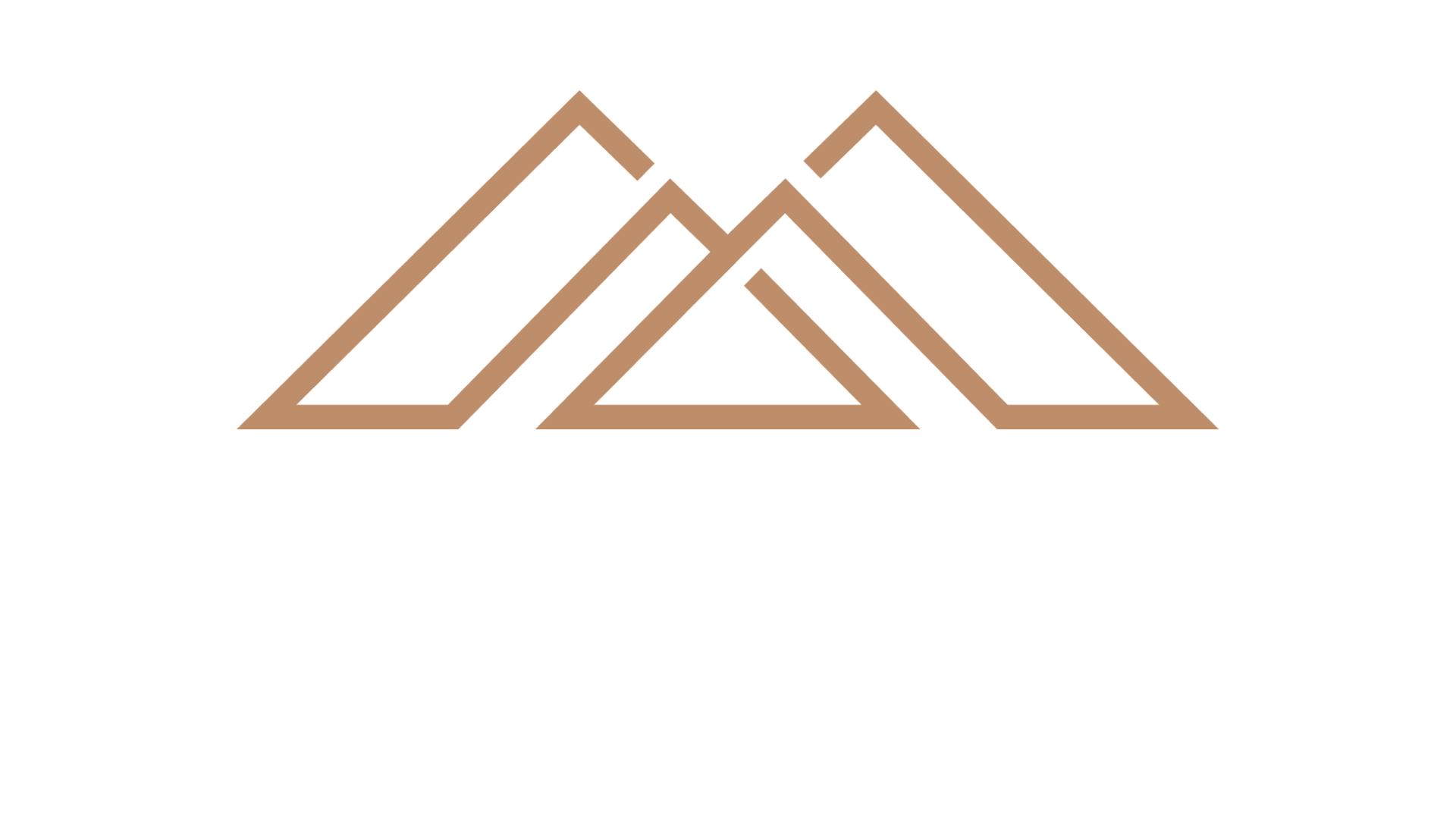 Logo for Ronne Home Solutions, LLC featuring stylized home roofs in brown and black with the company name in white text.