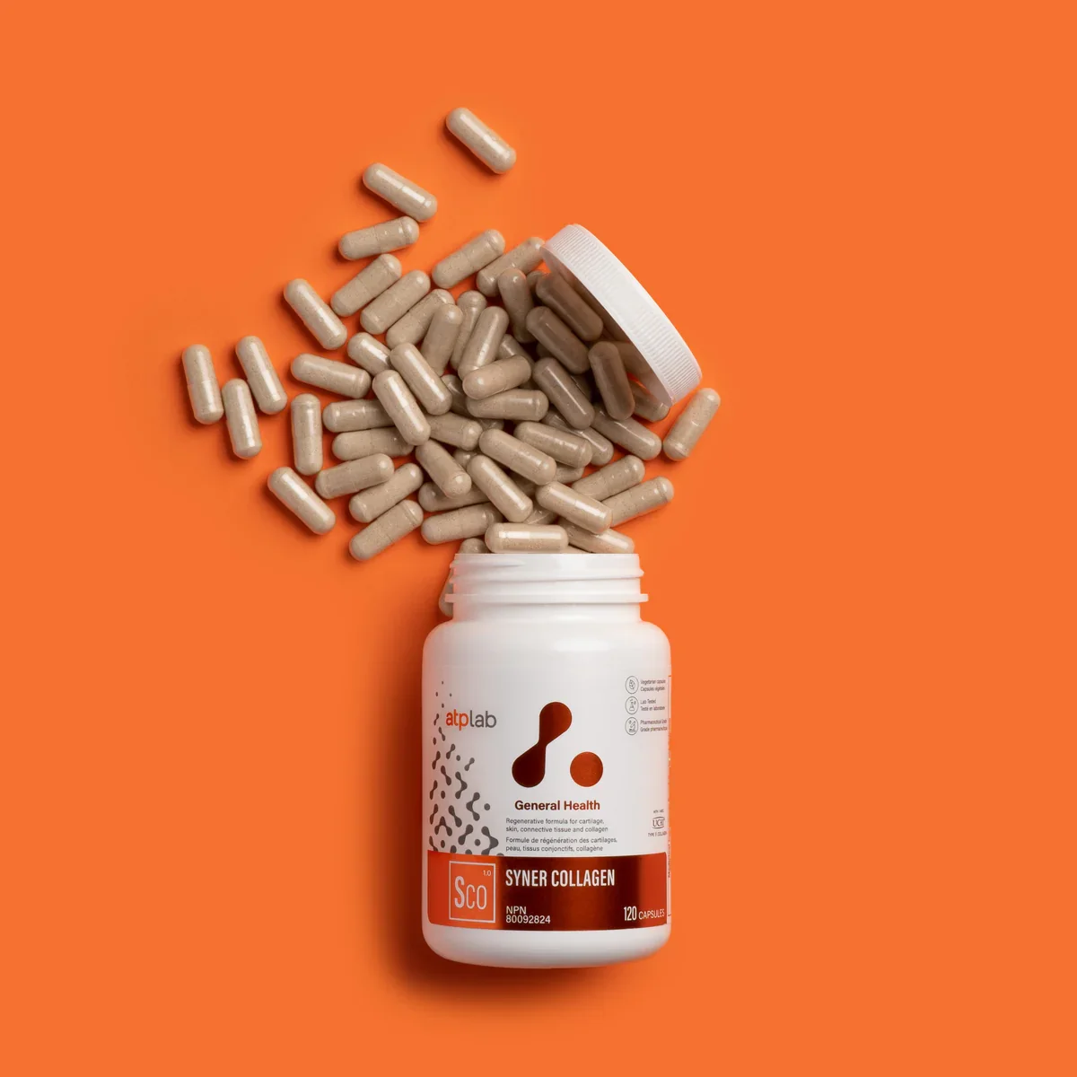 Syner Collagen - ATP LAB