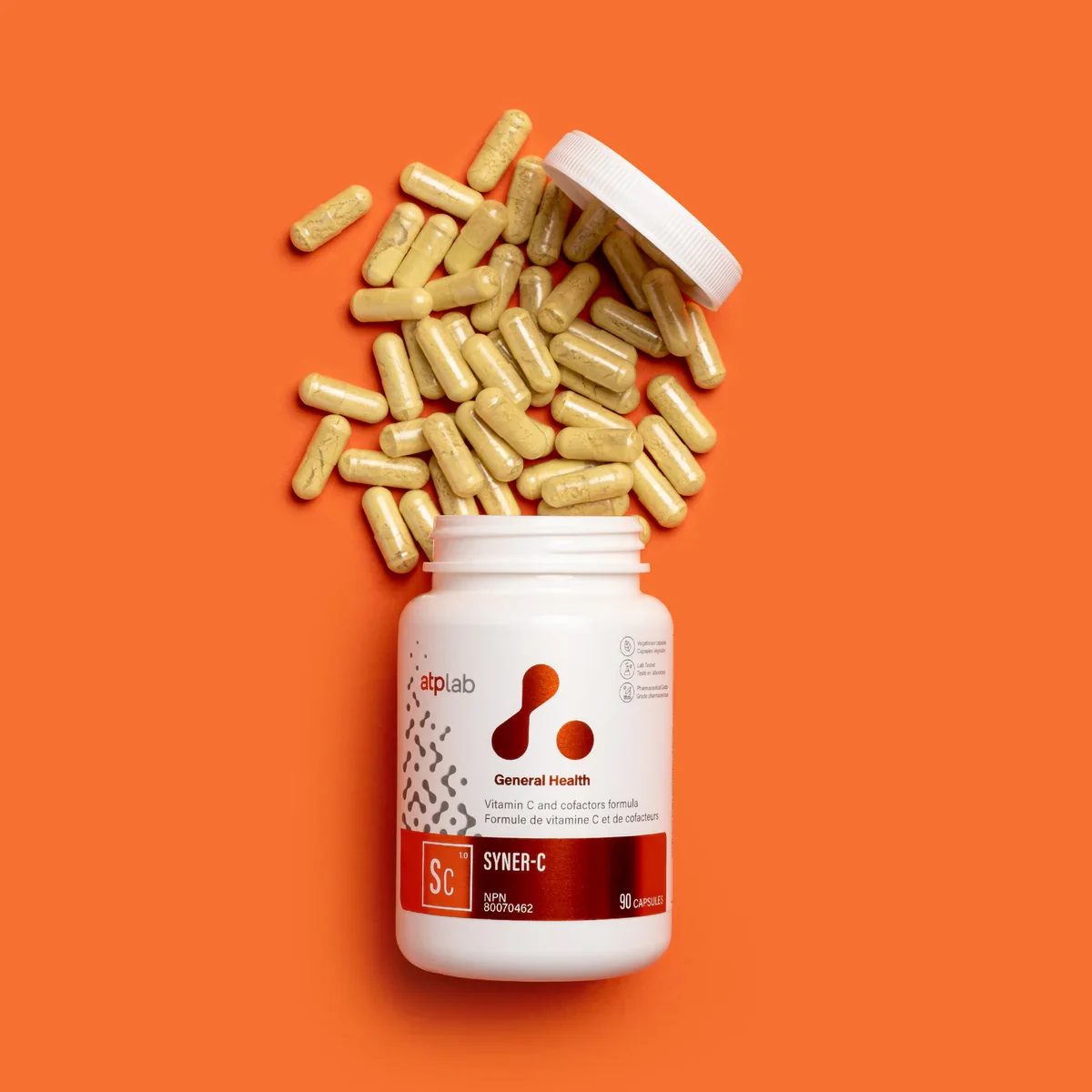 Syner-C - ATP LAB