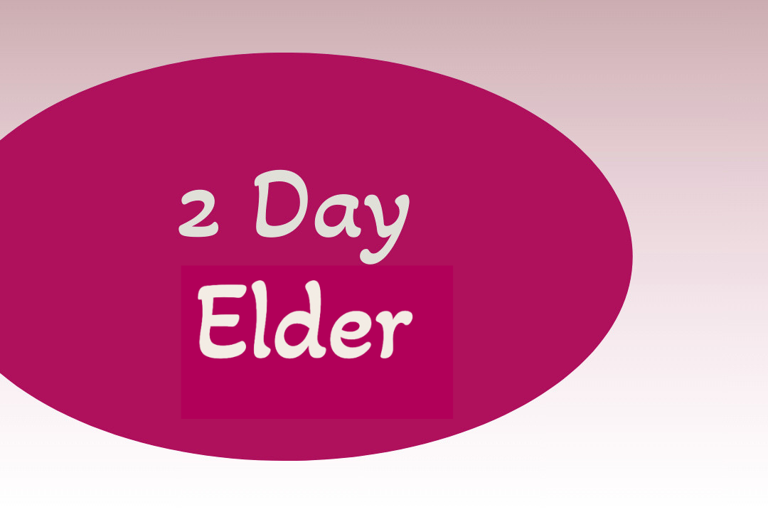 2 Day Festival Ticket - Grandparent/Elder