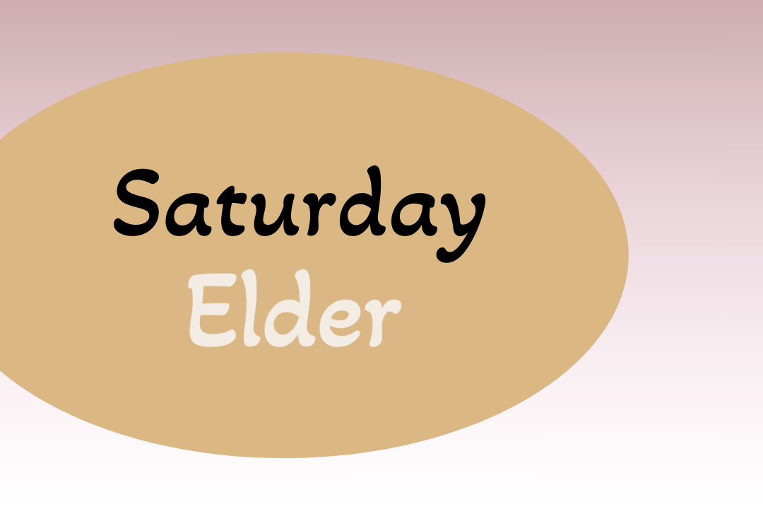 Saturday Festival Ticket - Grandparent/Elder