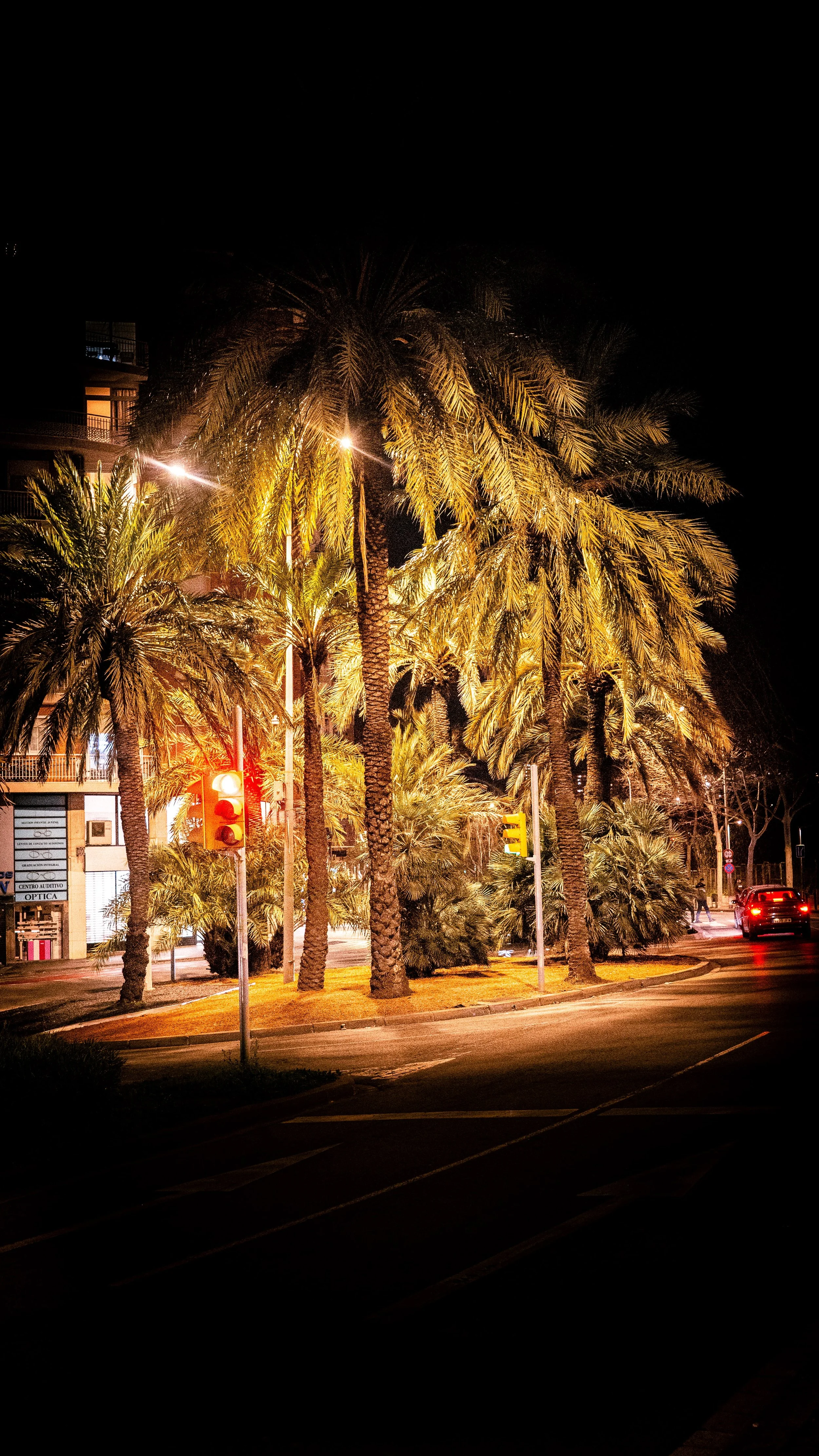 Nighttime street scene with palm trees, illuminated by streetlights and traffic signals