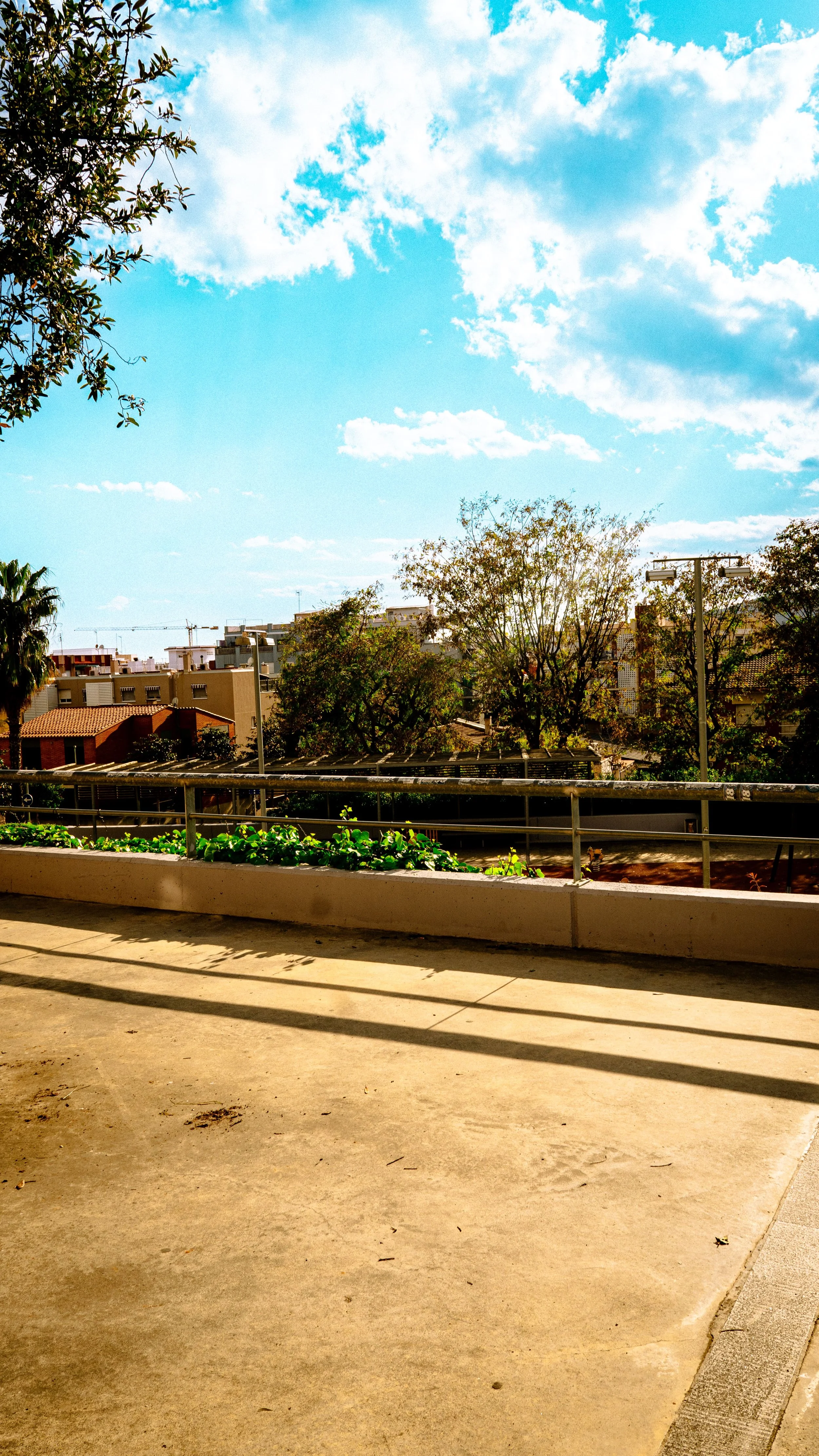 A sunny outdoor scene with a concrete patio, a metal railing, green plants, trees, and buildings in the background under a blue sky with white clouds.