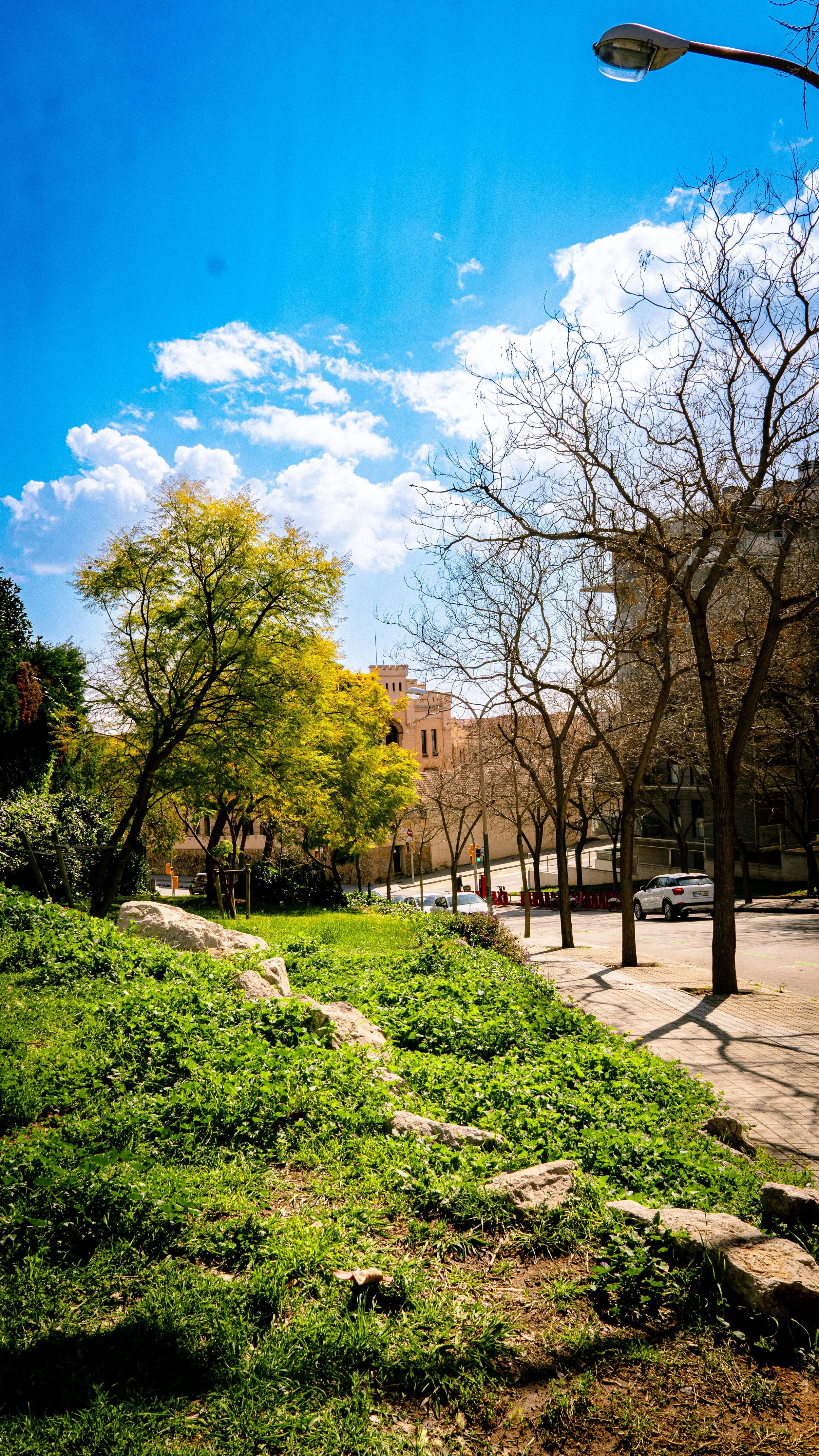 A sunny urban park with green grass, trees, a sidewalk, parked cars, a building in the background, and a streetlamp under a bright blue sky with clouds.