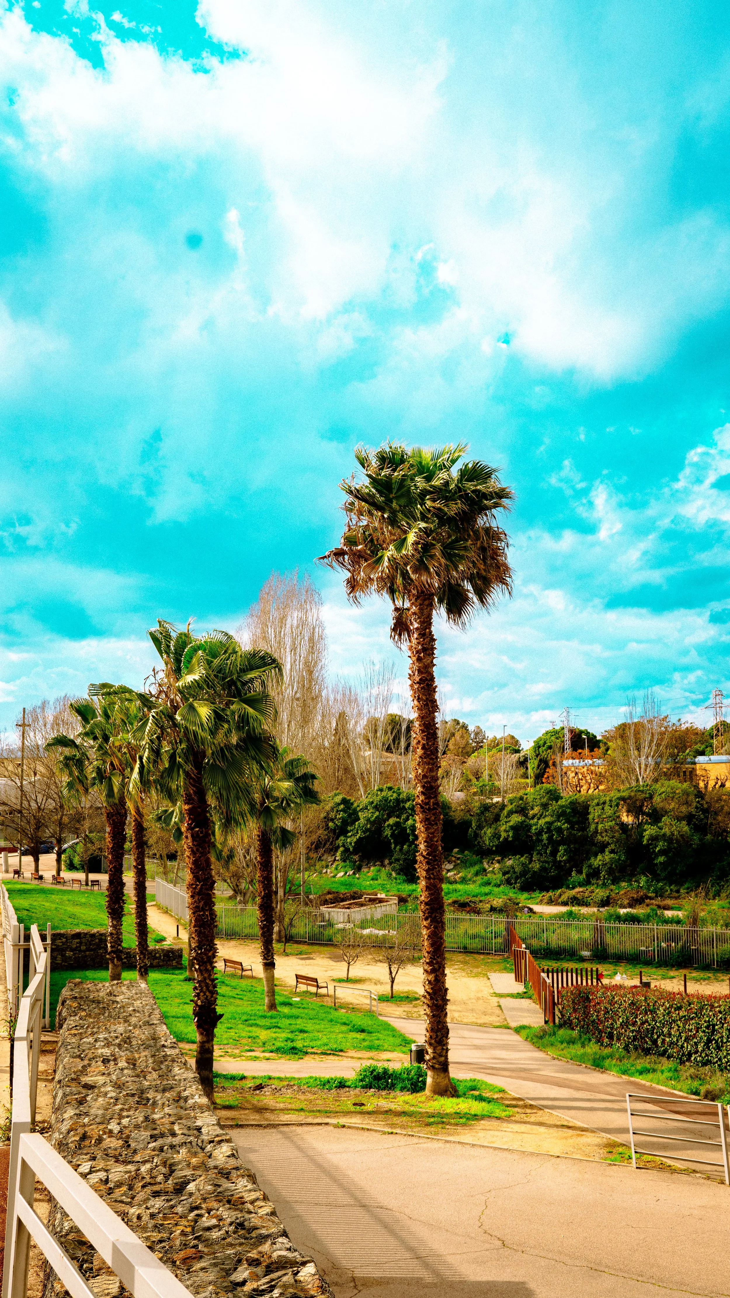 A park with palm trees, benches, a stone wall, and a dirt pathway under a partly cloudy sky.