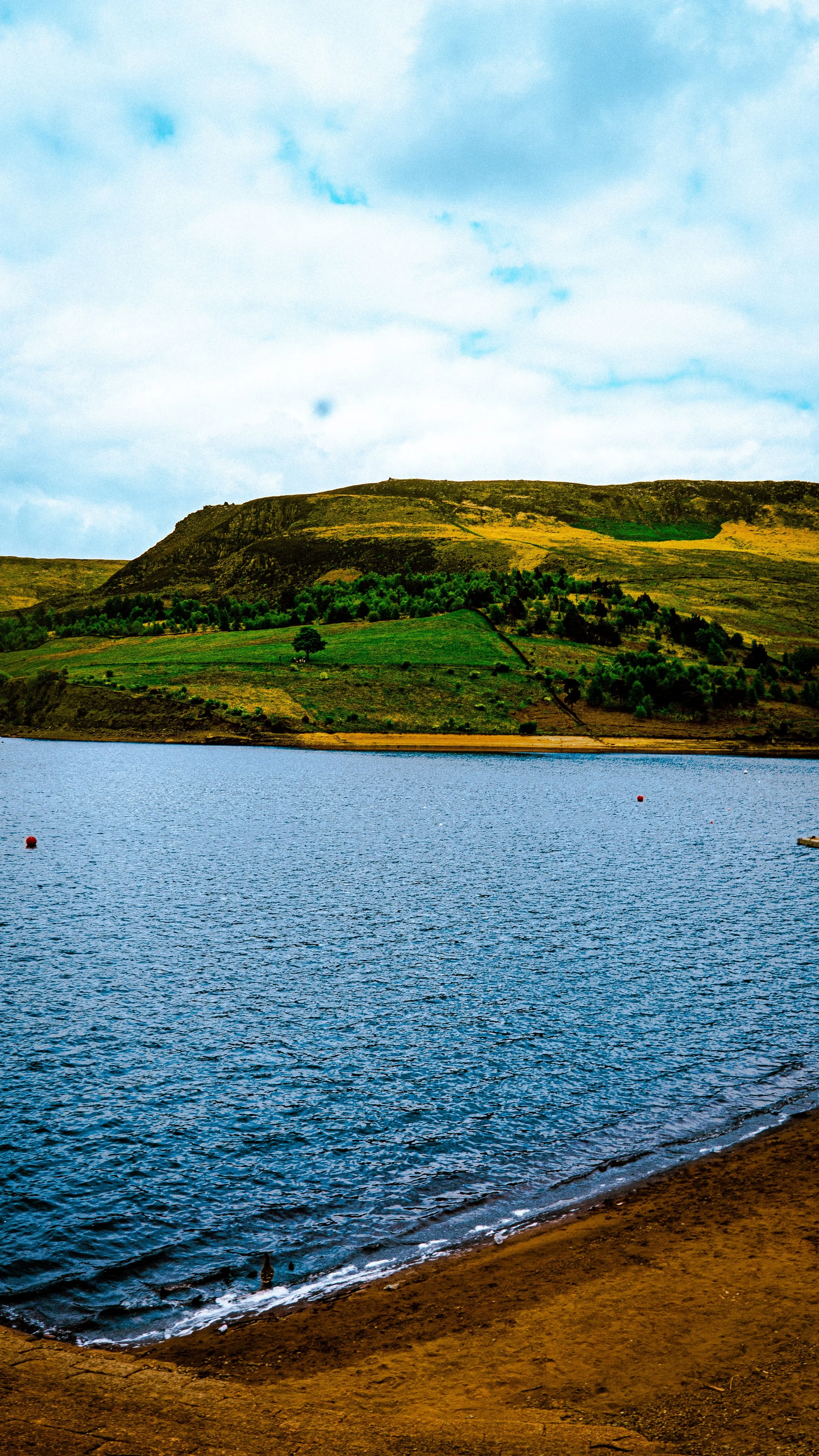 A lakeside landscape with a water body in the foreground, a grassy hill with trees in the middle ground, and a partly cloudy sky overhead.