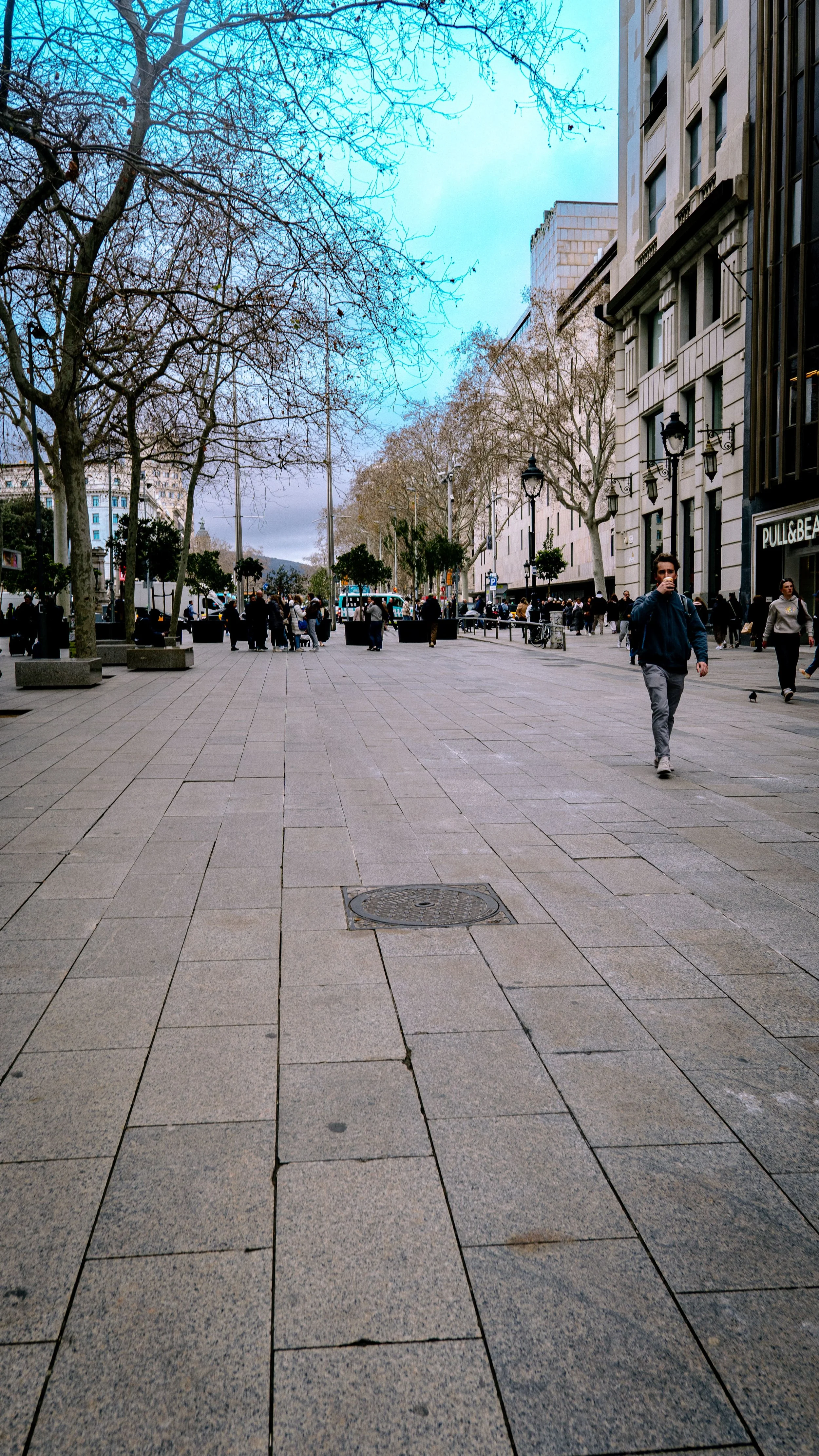City sidewalk with people walking, leafless trees, and buildings on a cloudy day