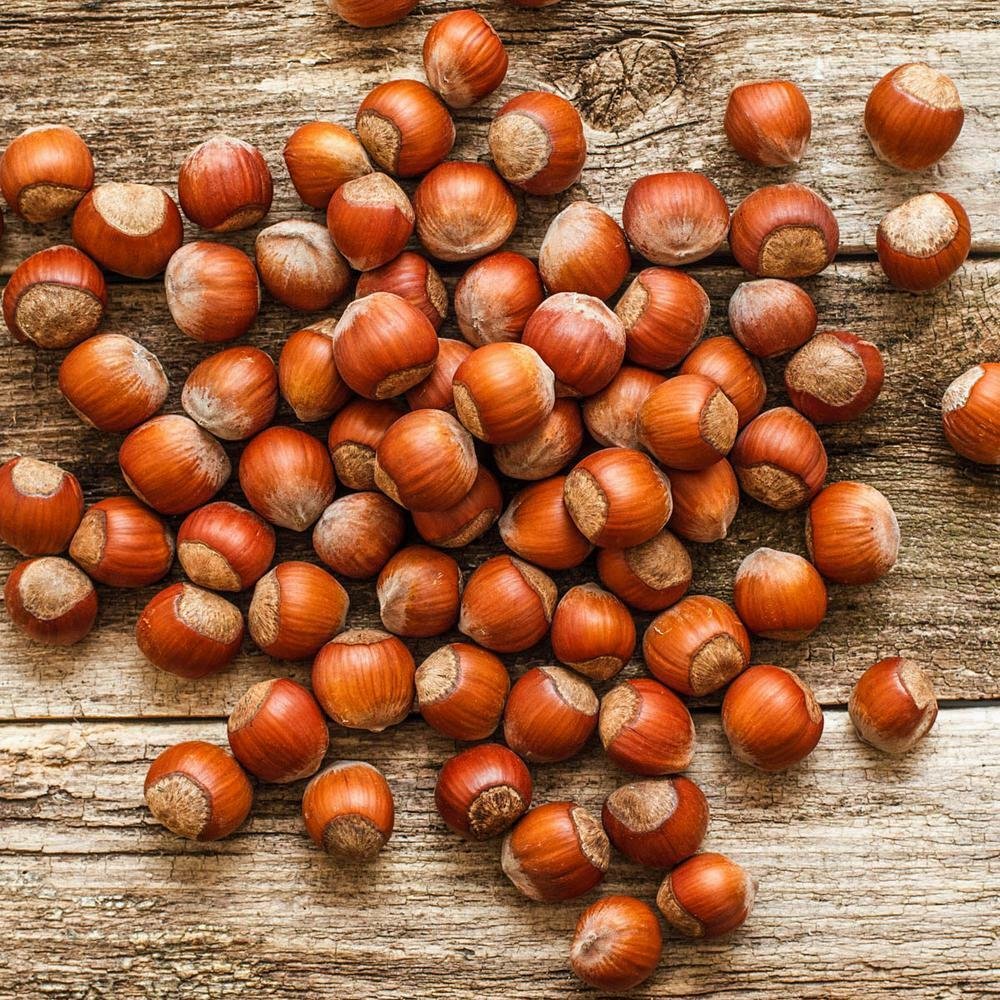 hazelnut-fruit.jpg
