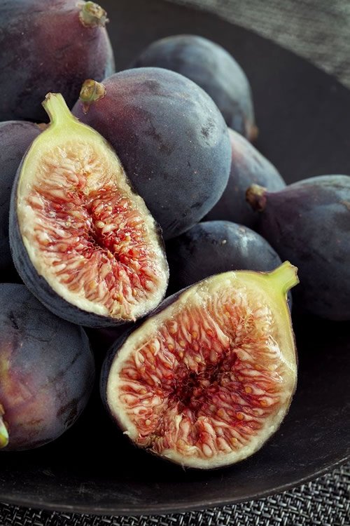 Fig-Chicago-Cold-Hardy-fruit.jpg