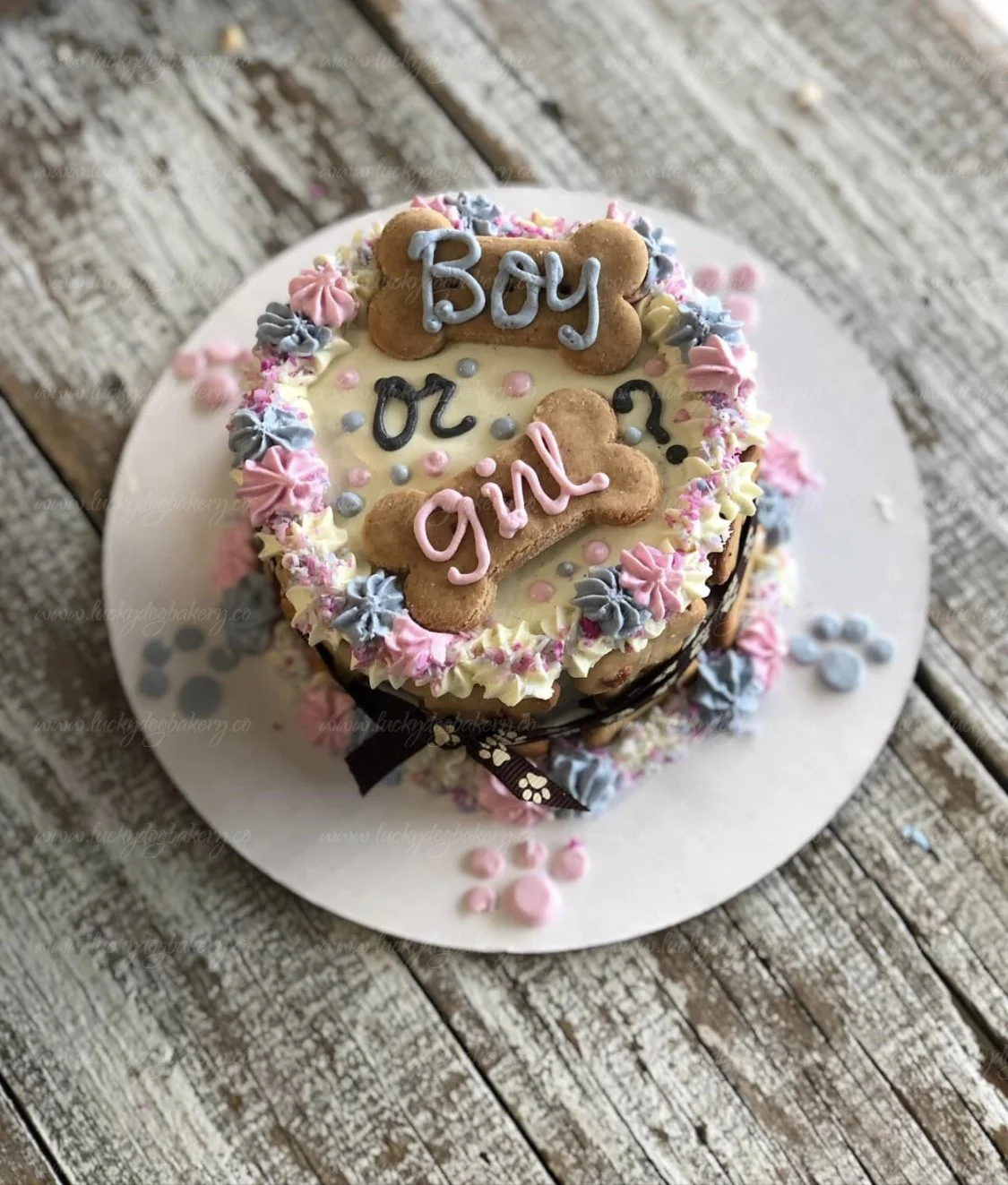 Our Dog Knows the Secret  -  A baby's gender reveal cake