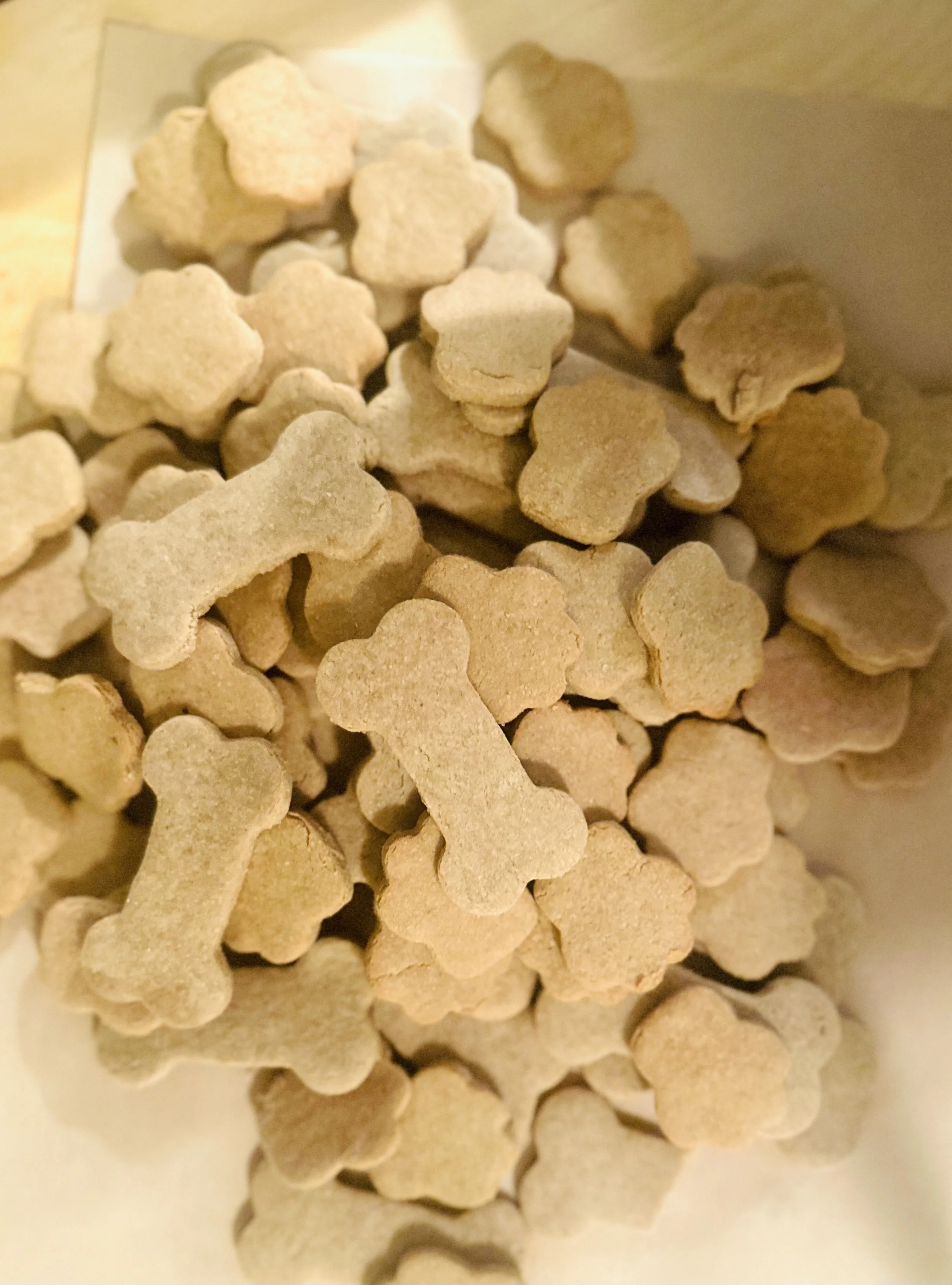 biscuits lucky dog bakery 1.jpeg