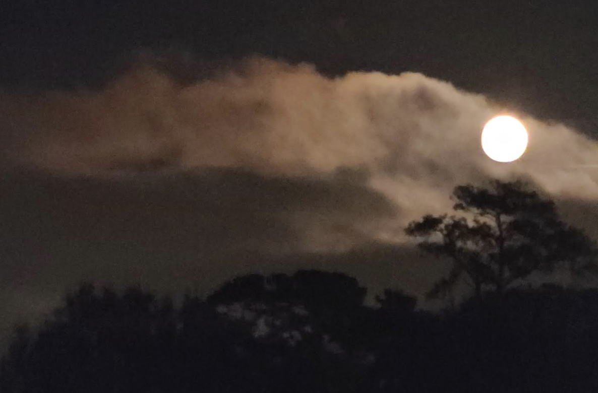 Full Moon Musings: The Reciprocal Dance of Staying Healed