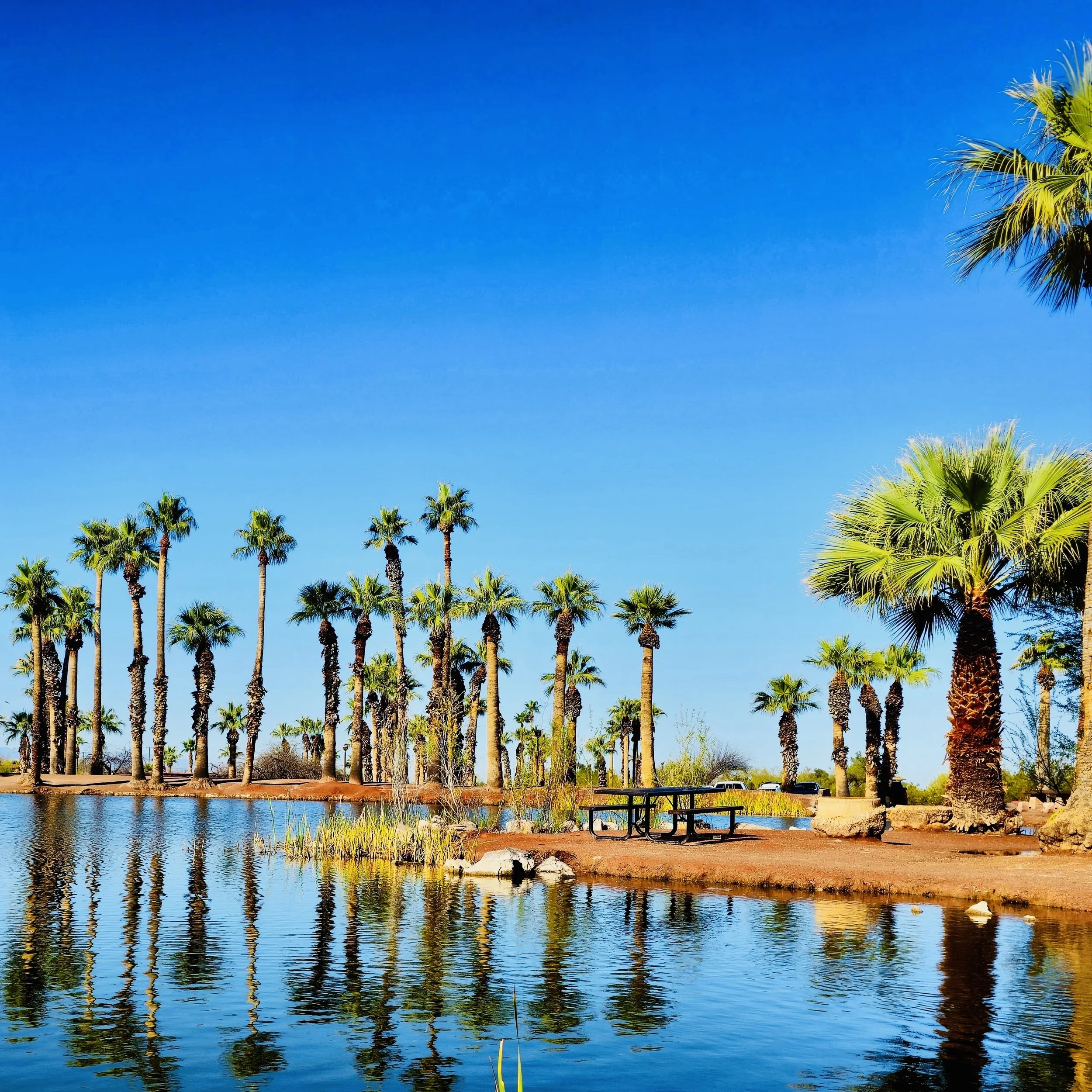 FREE INFO Session: Opening the Akashic Records - The OASIS Method