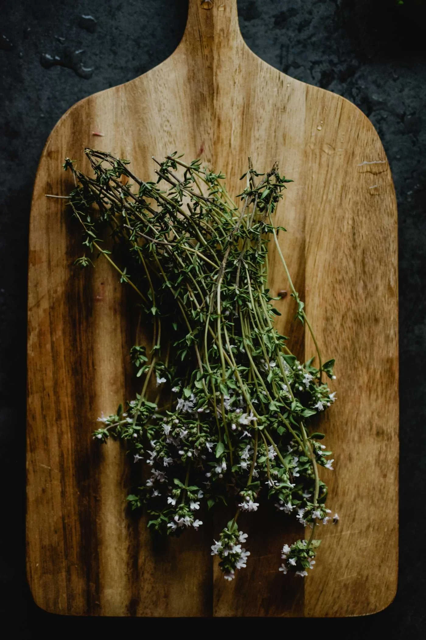 processed_Doula_Kitchen-eva-bronzini-5501053.jpeg