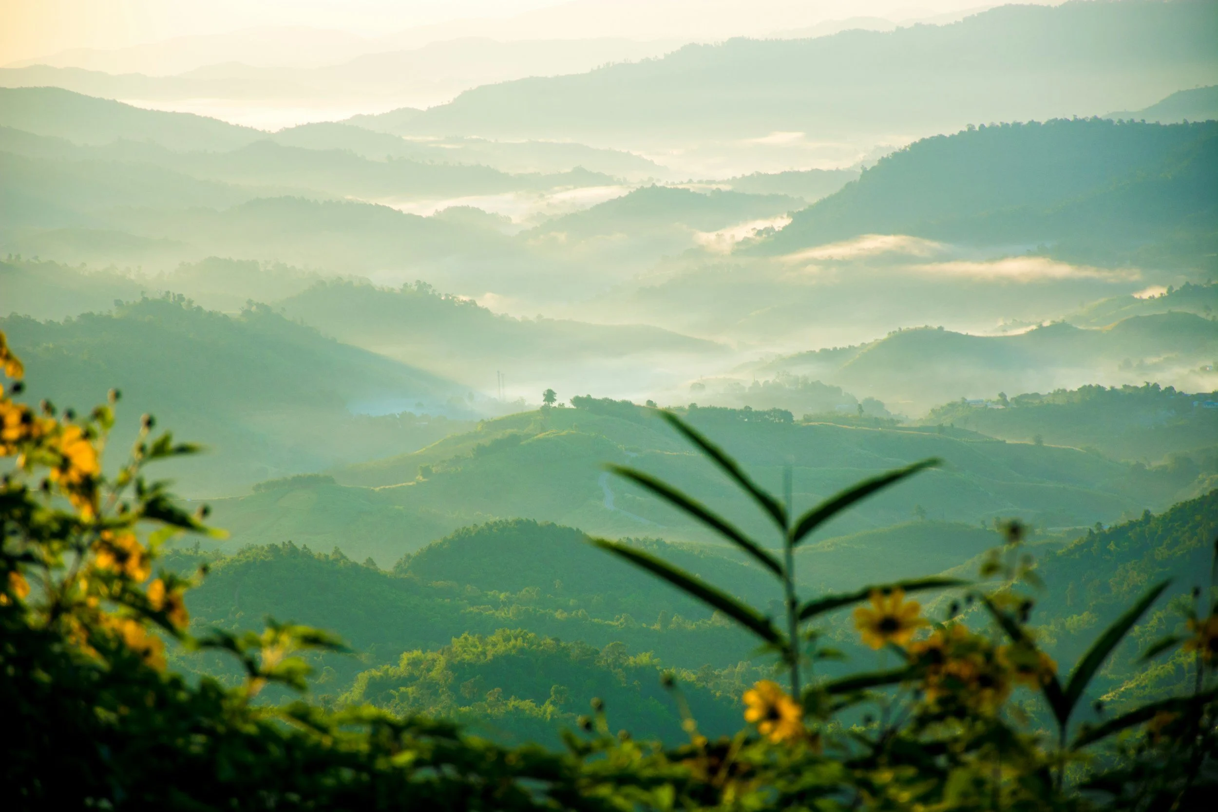 An Introduction to Zen