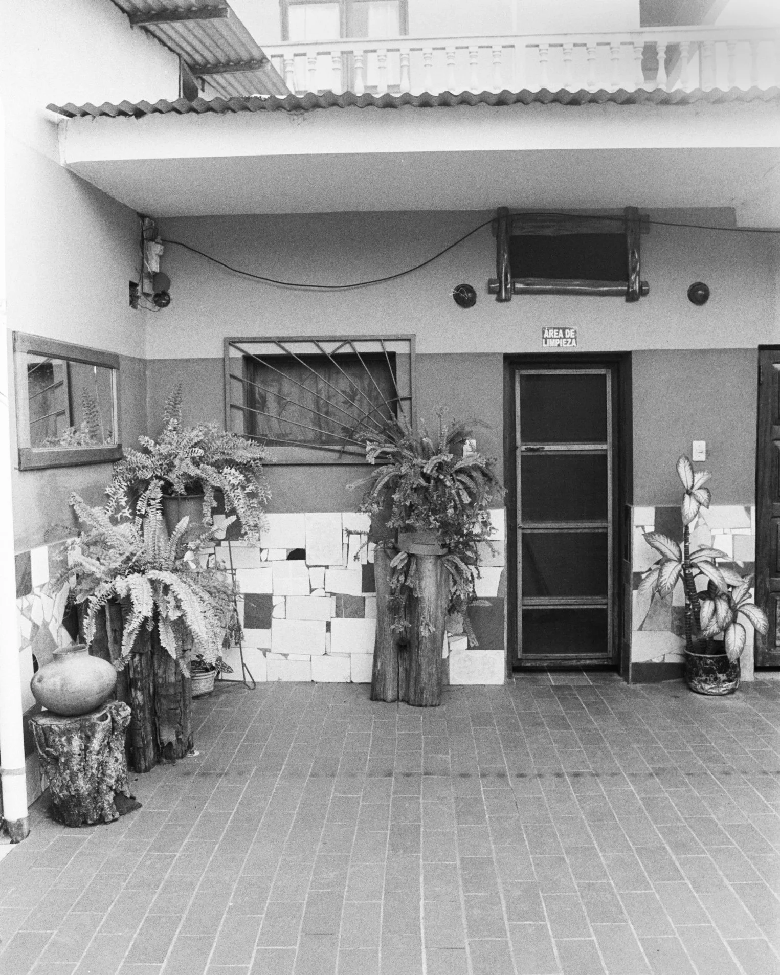 Indoor space with potted plants on rustic wood stands, brick and tile walls, a door labeled "Área de Limpieza," and a window with a decorative grill.