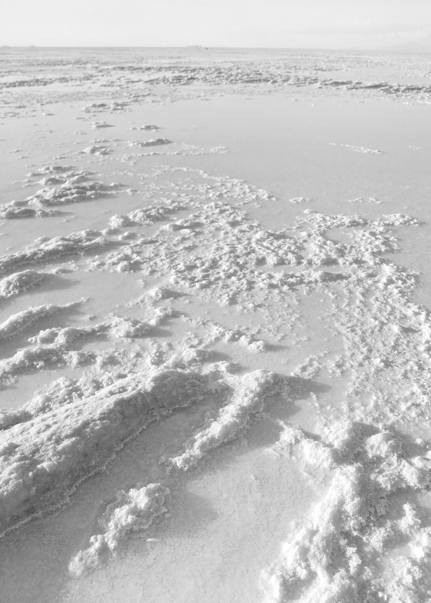 Footprints in the snow on a flat, snowy landscape, with a distant horizon in the background.