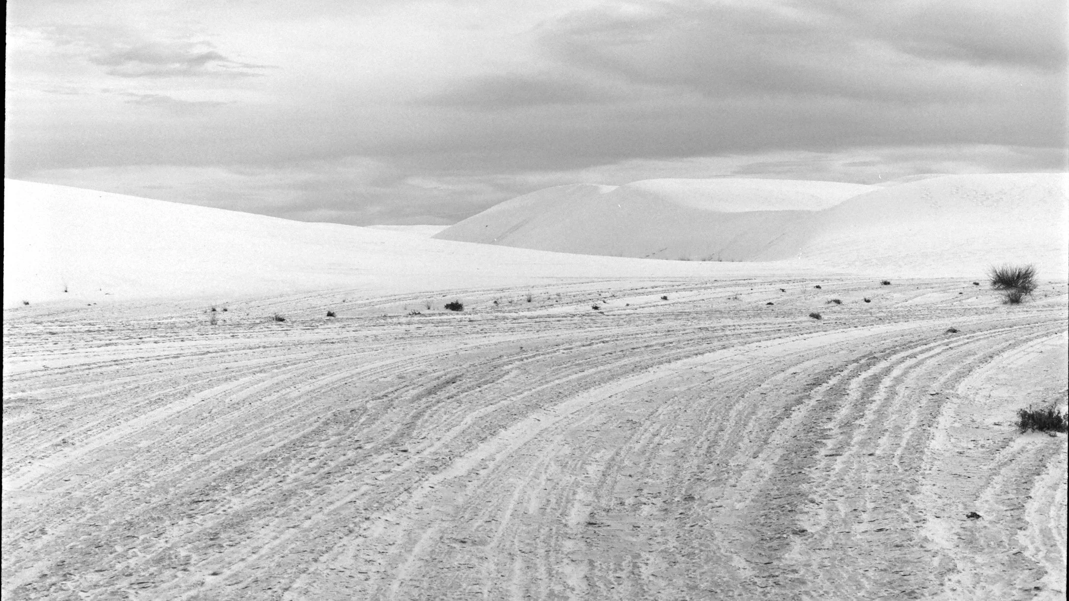 Black and white photo of a desert landscape with sandy terrain, sparse vegetation, and large sand dunes in the background under a cloudy sky.