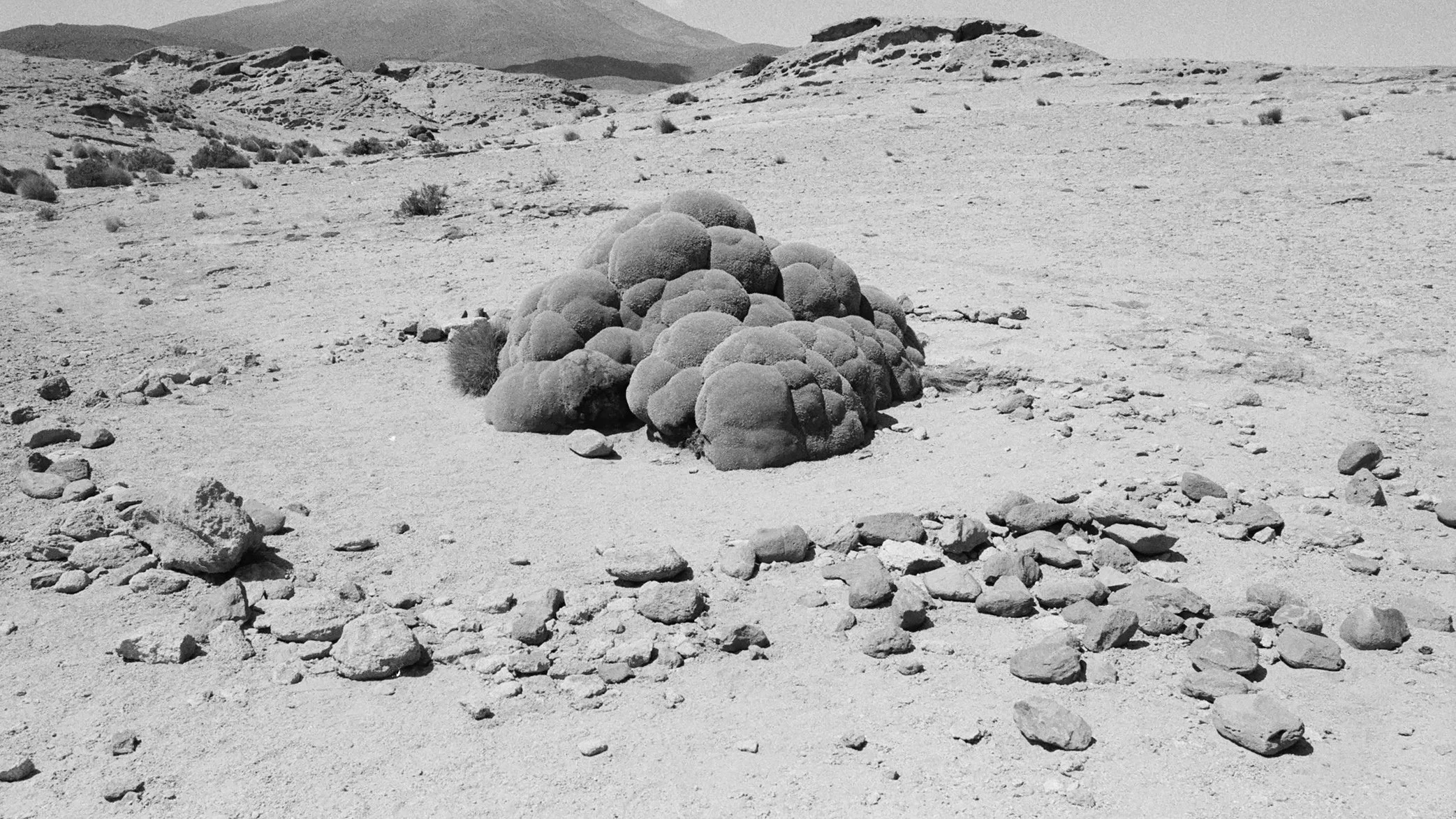 Desert landscape with a large pile of rounded stones and smaller rocks scattered on the sandy ground, with distant hills in the background.