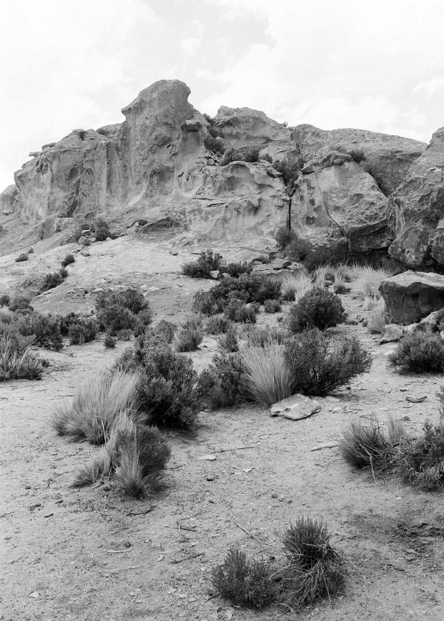 A black and white photograph of a rocky desert landscape with sparse vegetation, large rocks, and a cloudy sky in the background.