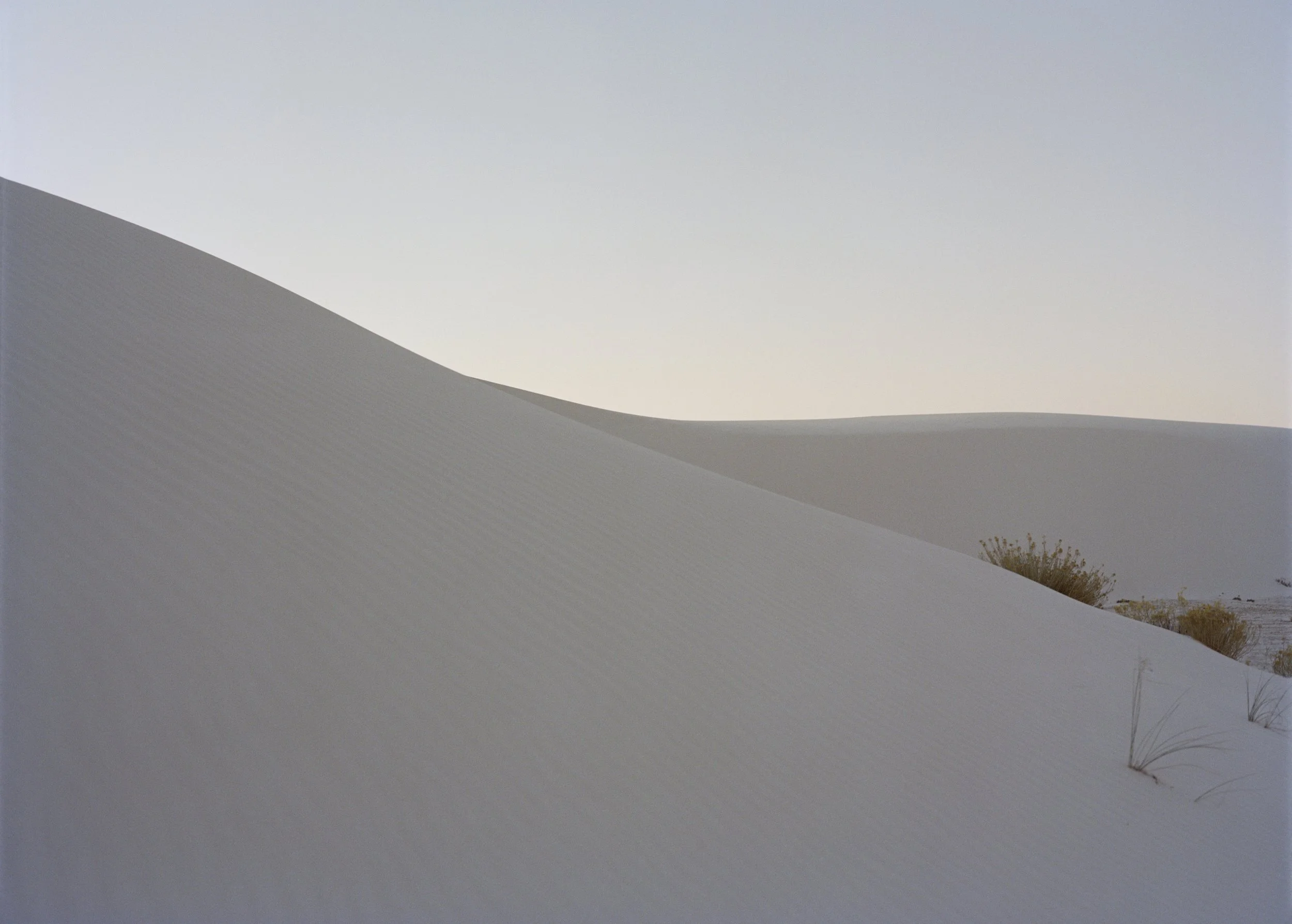 White sand dunes with sparse desert vegetation under a clear sky.