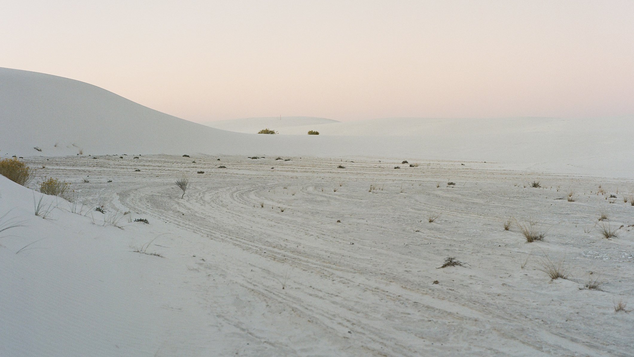 A vast desert landscape with white sand dunes, small bushes, and sparse vegetation, under a light-colored sky.